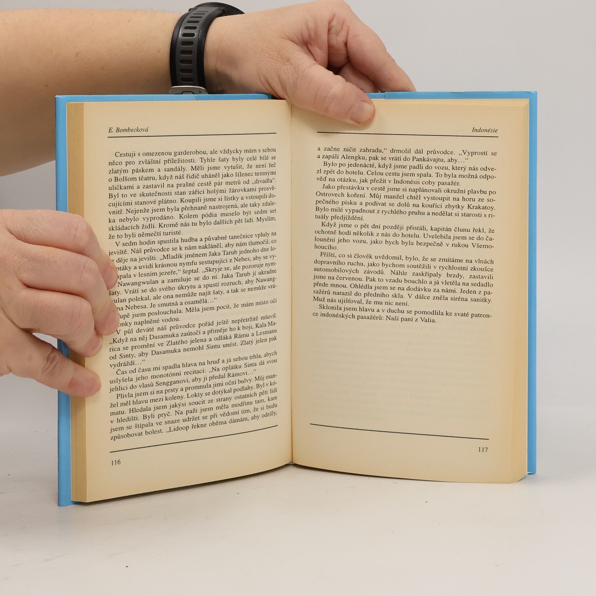 Erma Bombeck Jak (ne)zvládnout cestování