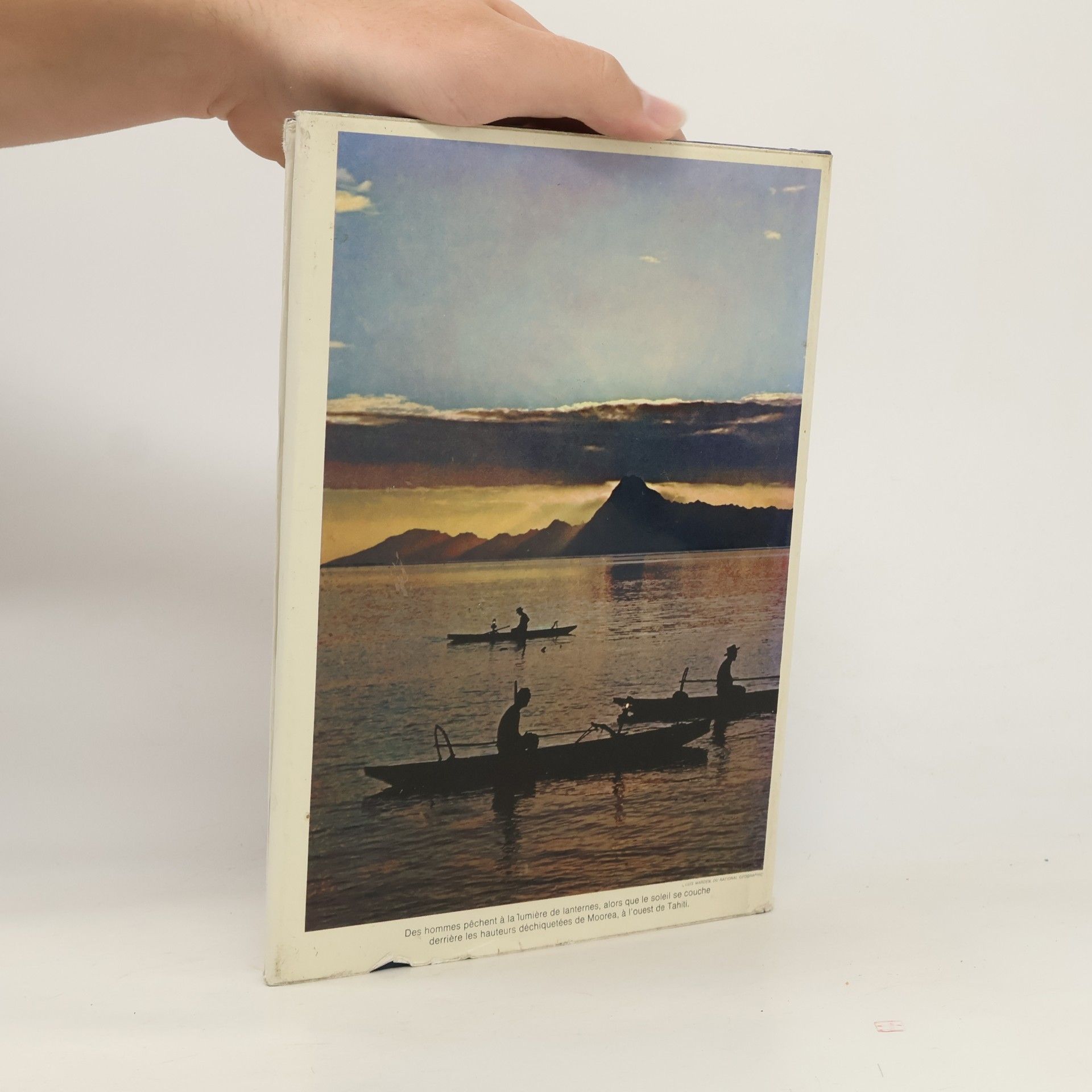 Autorenkollektiv Les Iles du Pacifique Sud