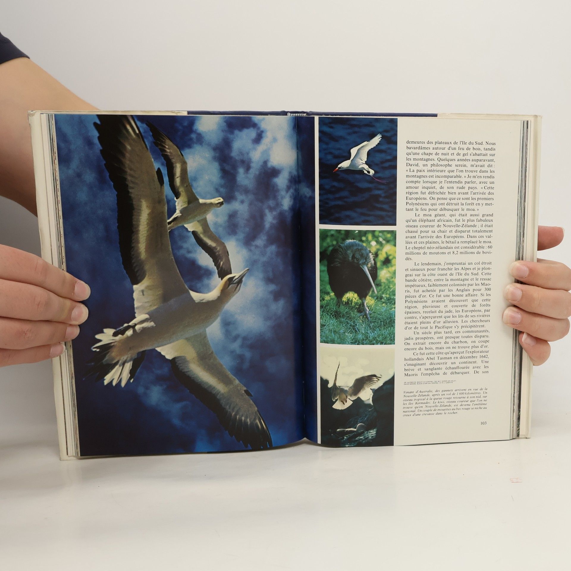 Autorenkollektiv Les Iles du Pacifique Sud