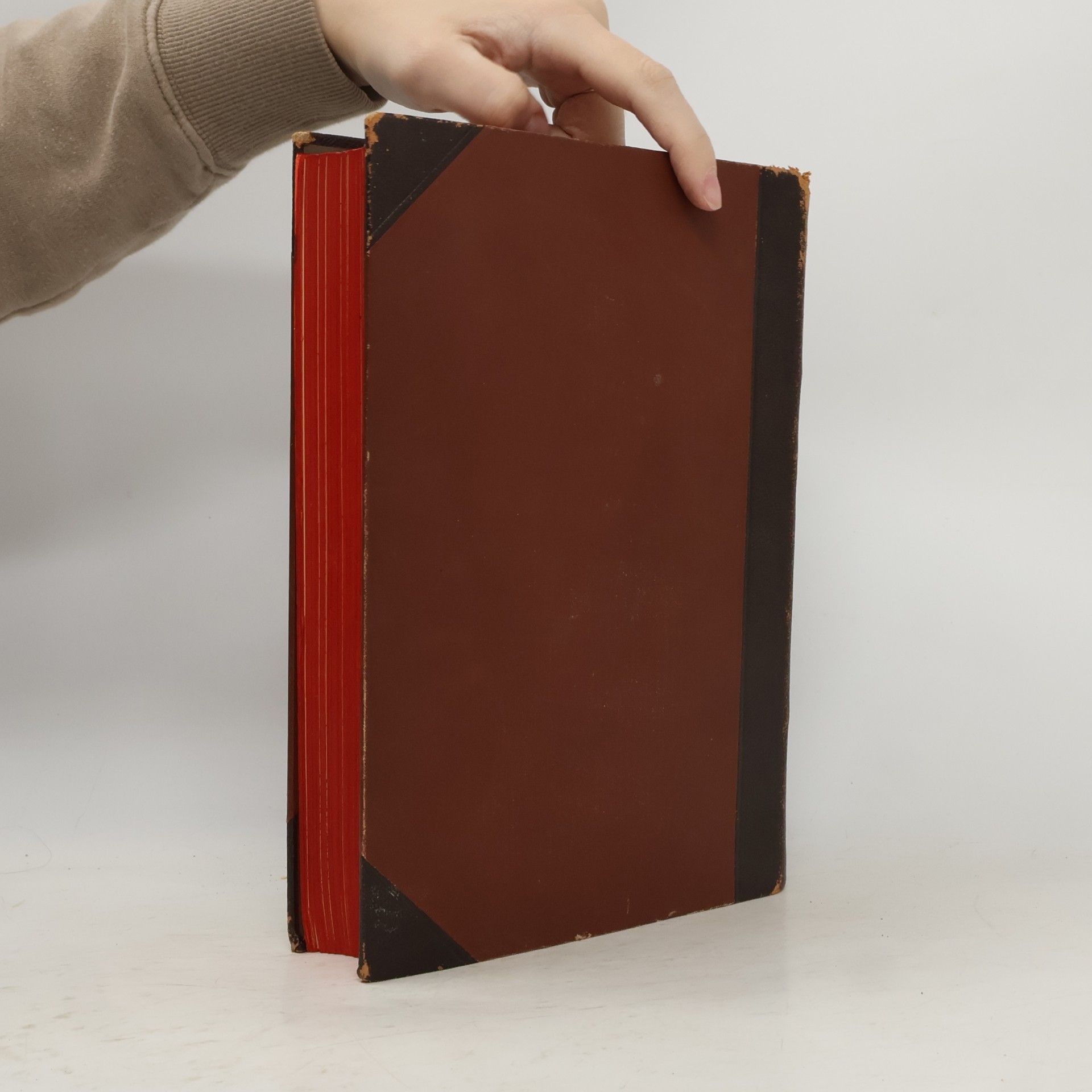 Kolektiv autorů Příruční slovník německo-český / Deutsch-tschechisches Handwörterbuch 1. A-E