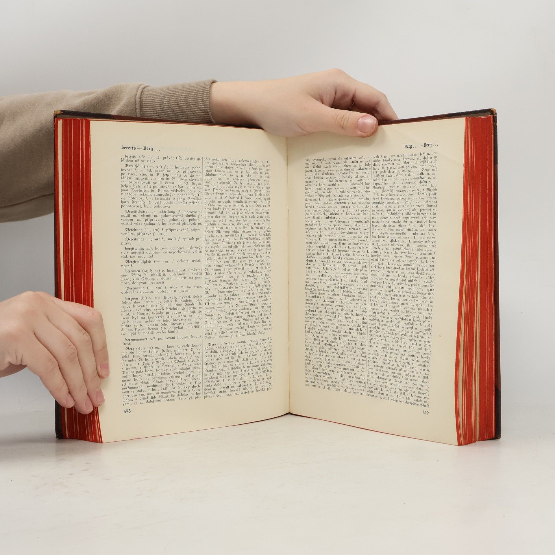 Kolektiv autorů Příruční slovník německo-český / Deutsch-tschechisches Handwörterbuch 1. A-E