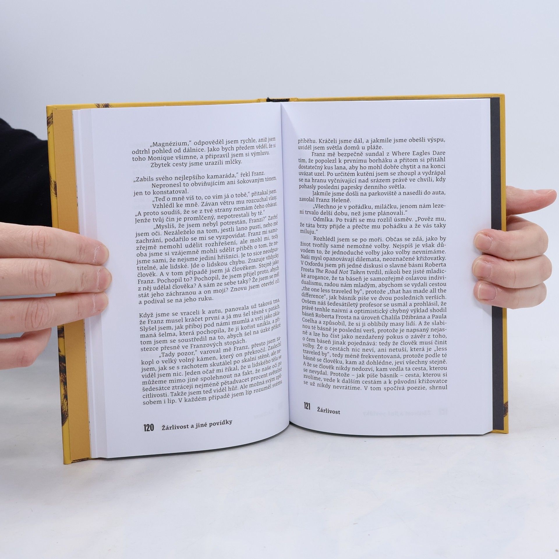 Jo Nesbø Žárlivost a jiné povídky