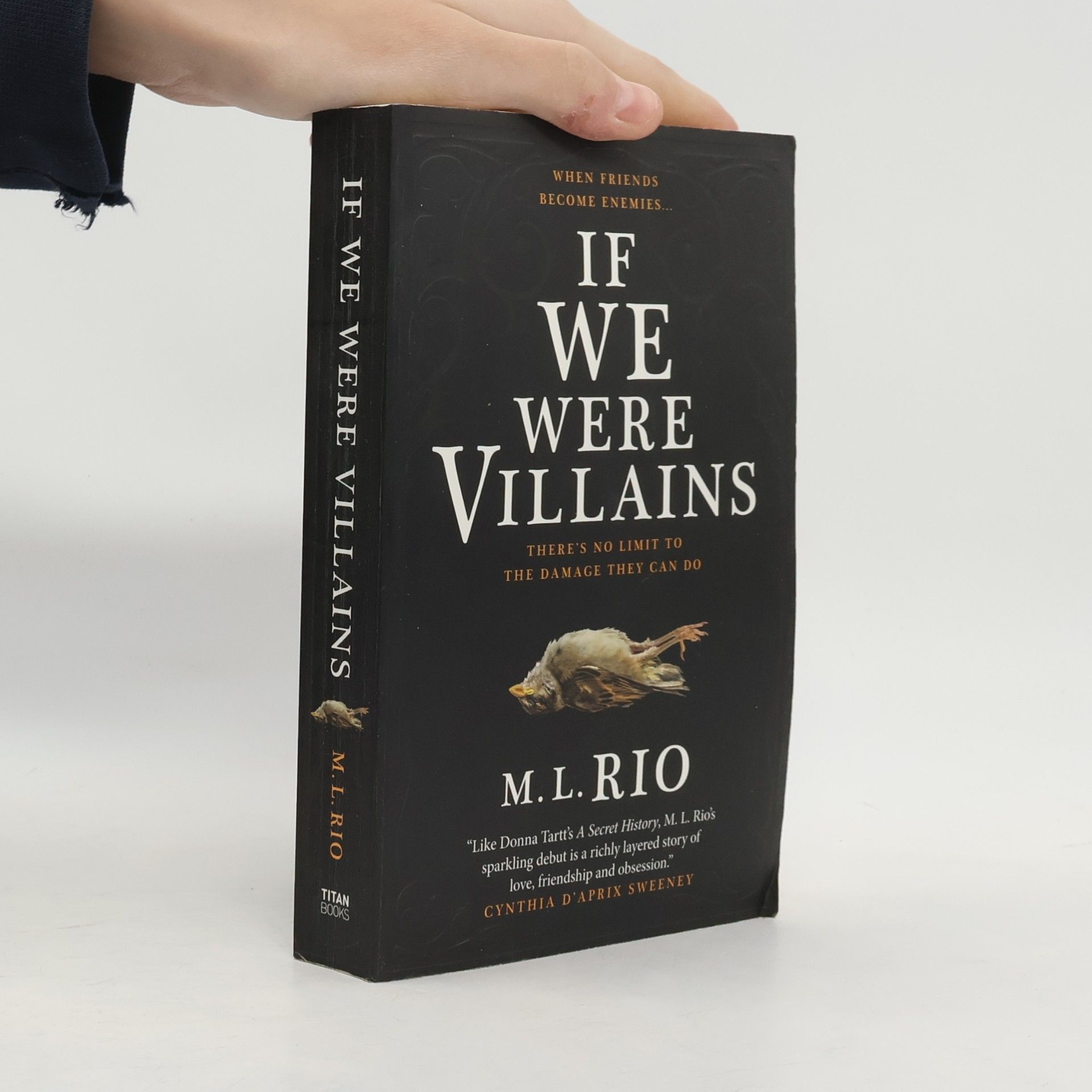If We Were Villains