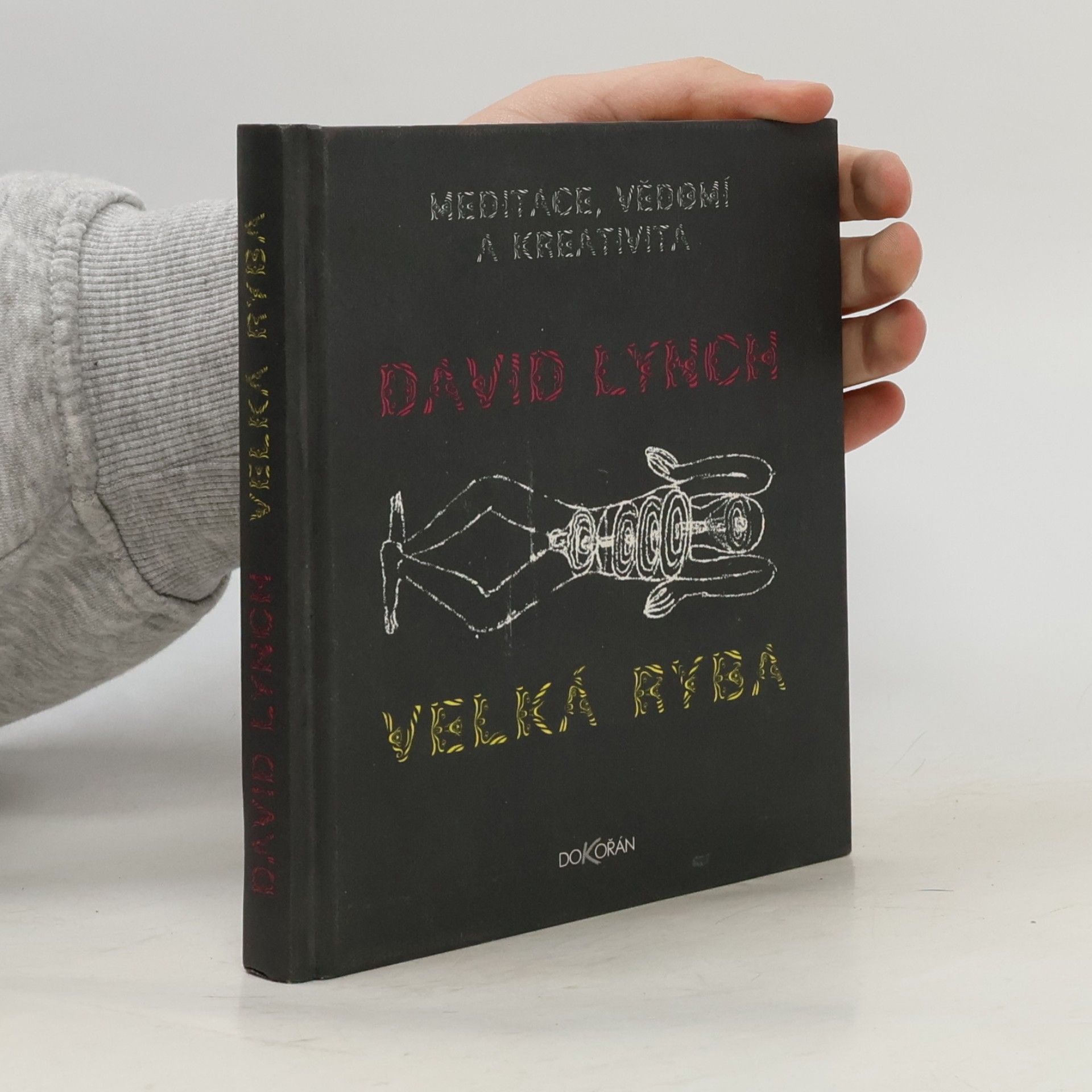 Velká ryba: Meditace, vědomí a kreativita
