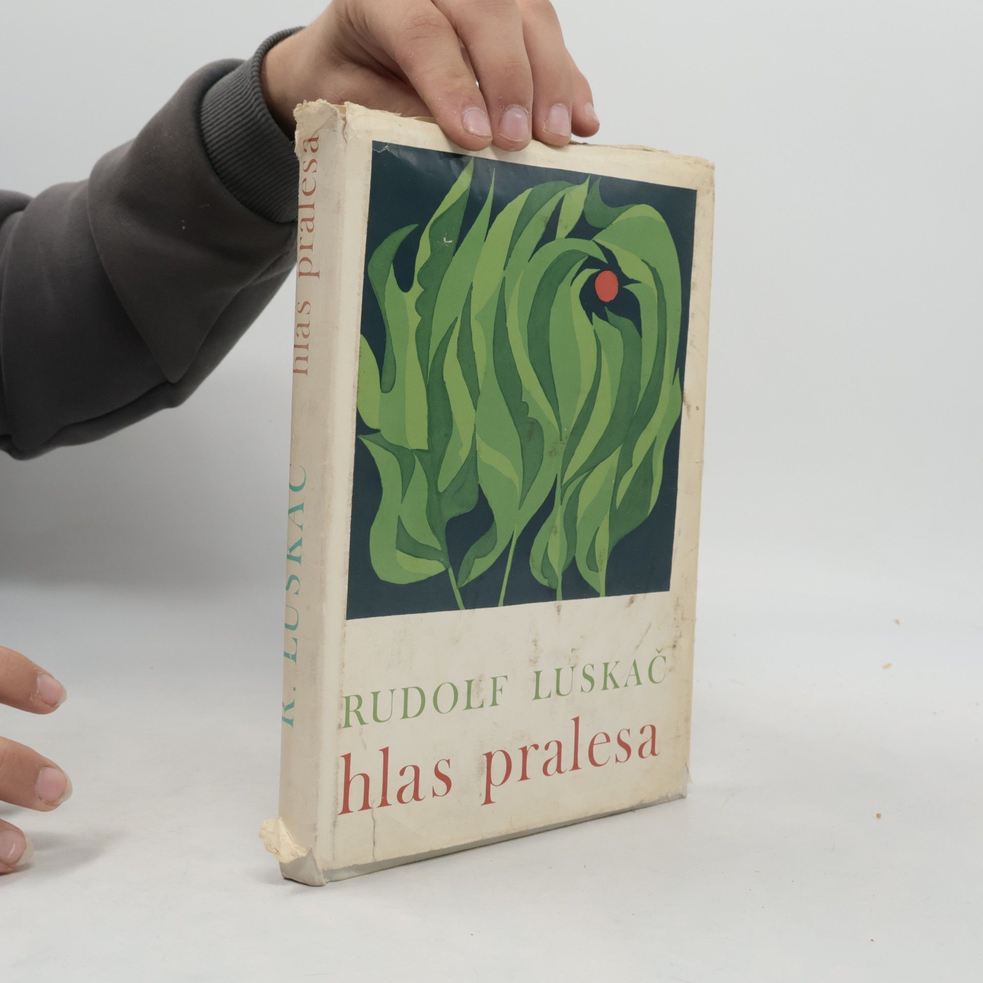 Rudolf Luskač Hlas pralesa