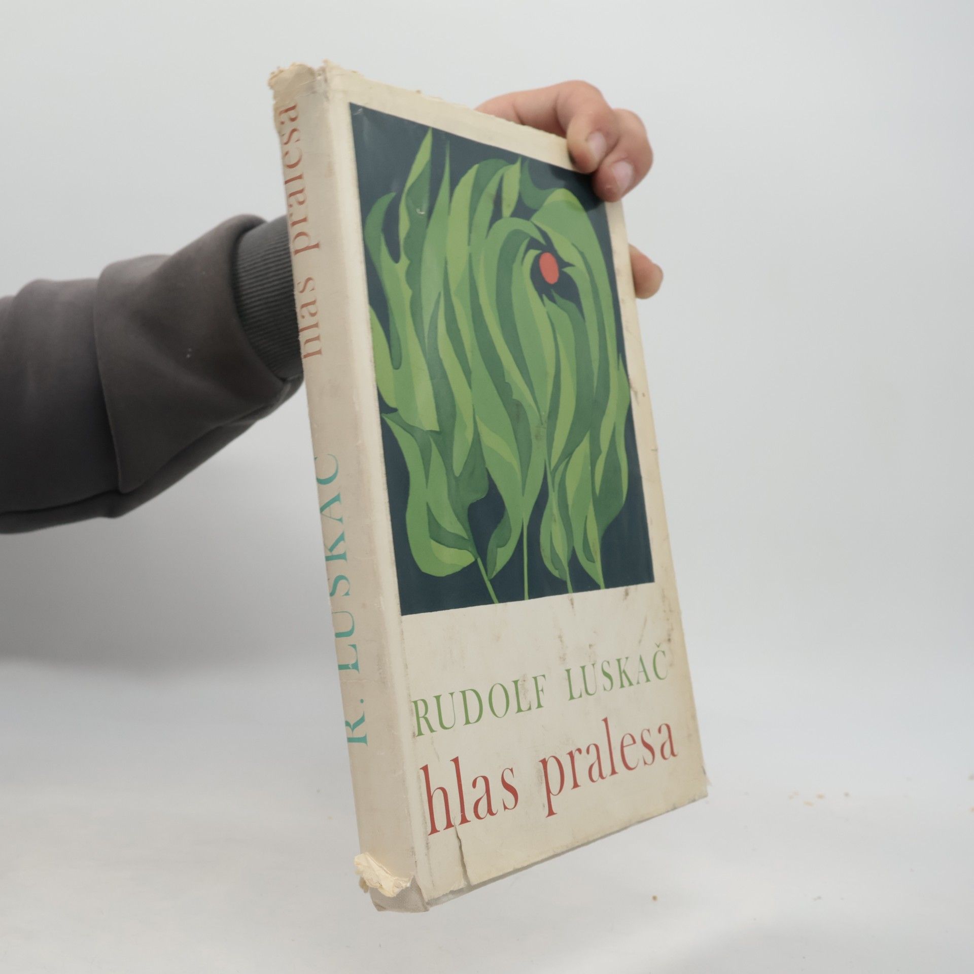 Rudolf Luskač Hlas pralesa