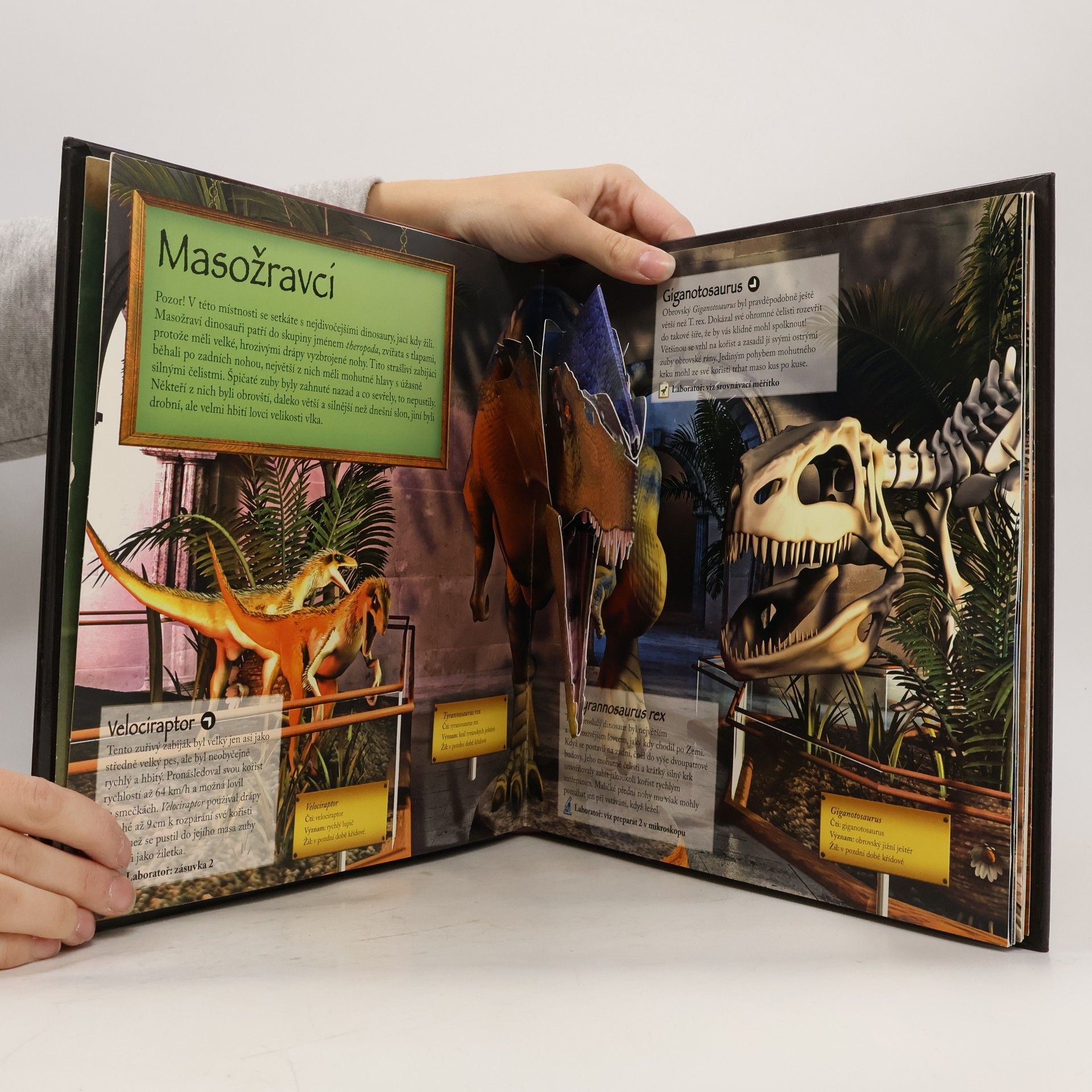 Jen Green Muzeum dinosaurů (pop-up leporelo viz foto)