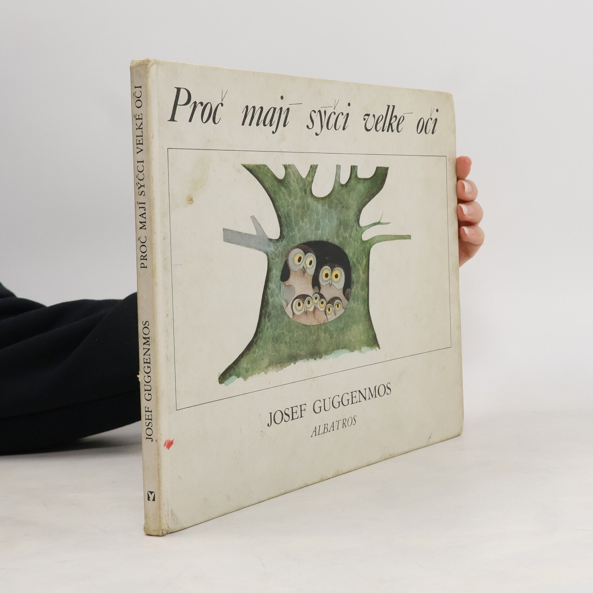 Proč mají sýčci velké oči