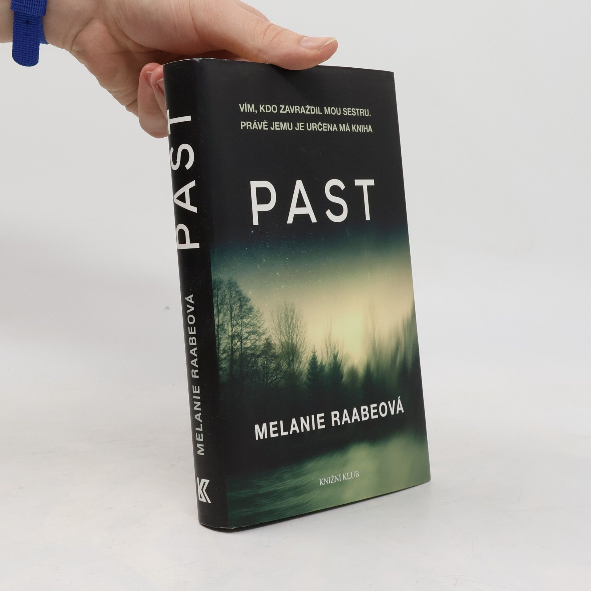 Melanie Raabe Past
