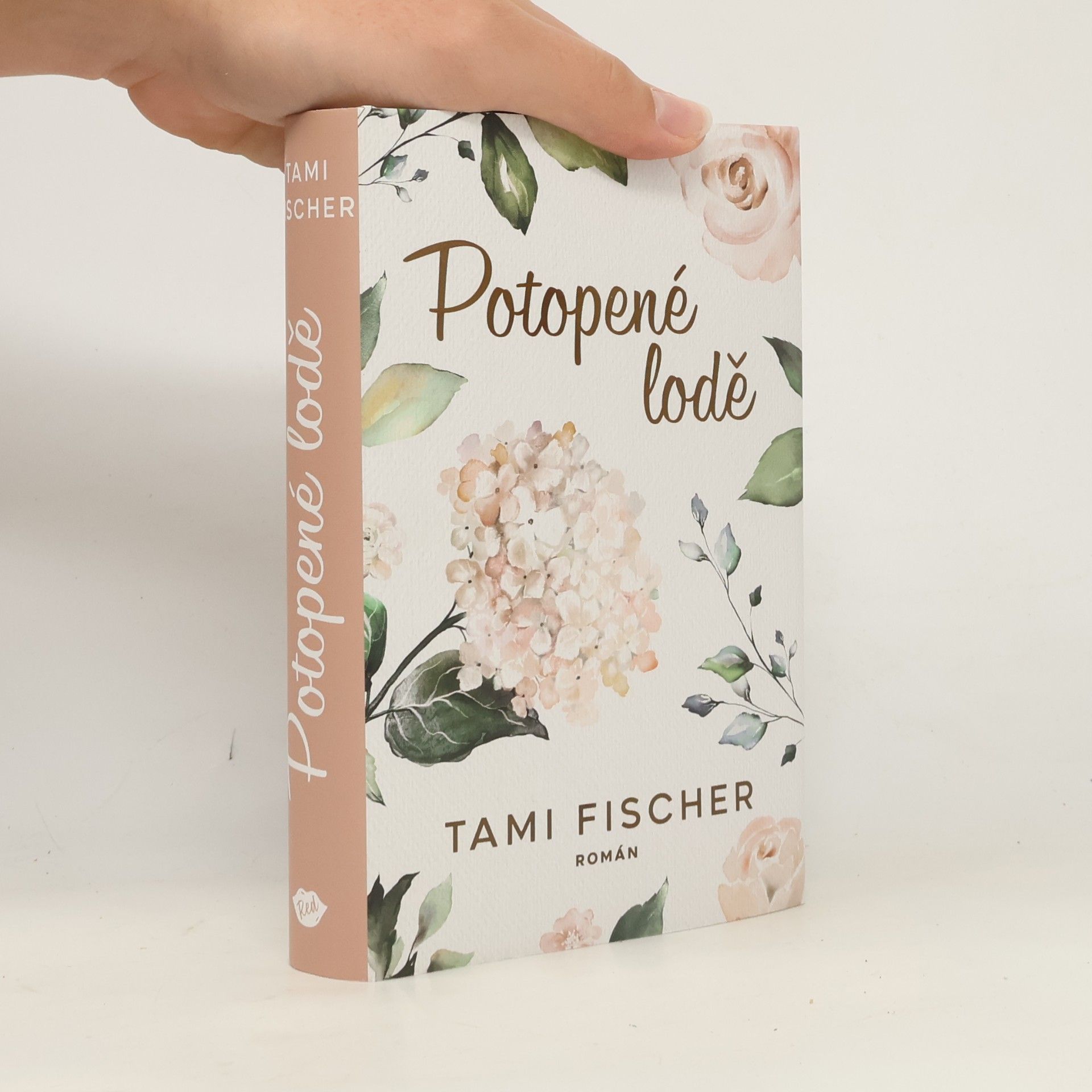 Tami Fischer Potopené lodě