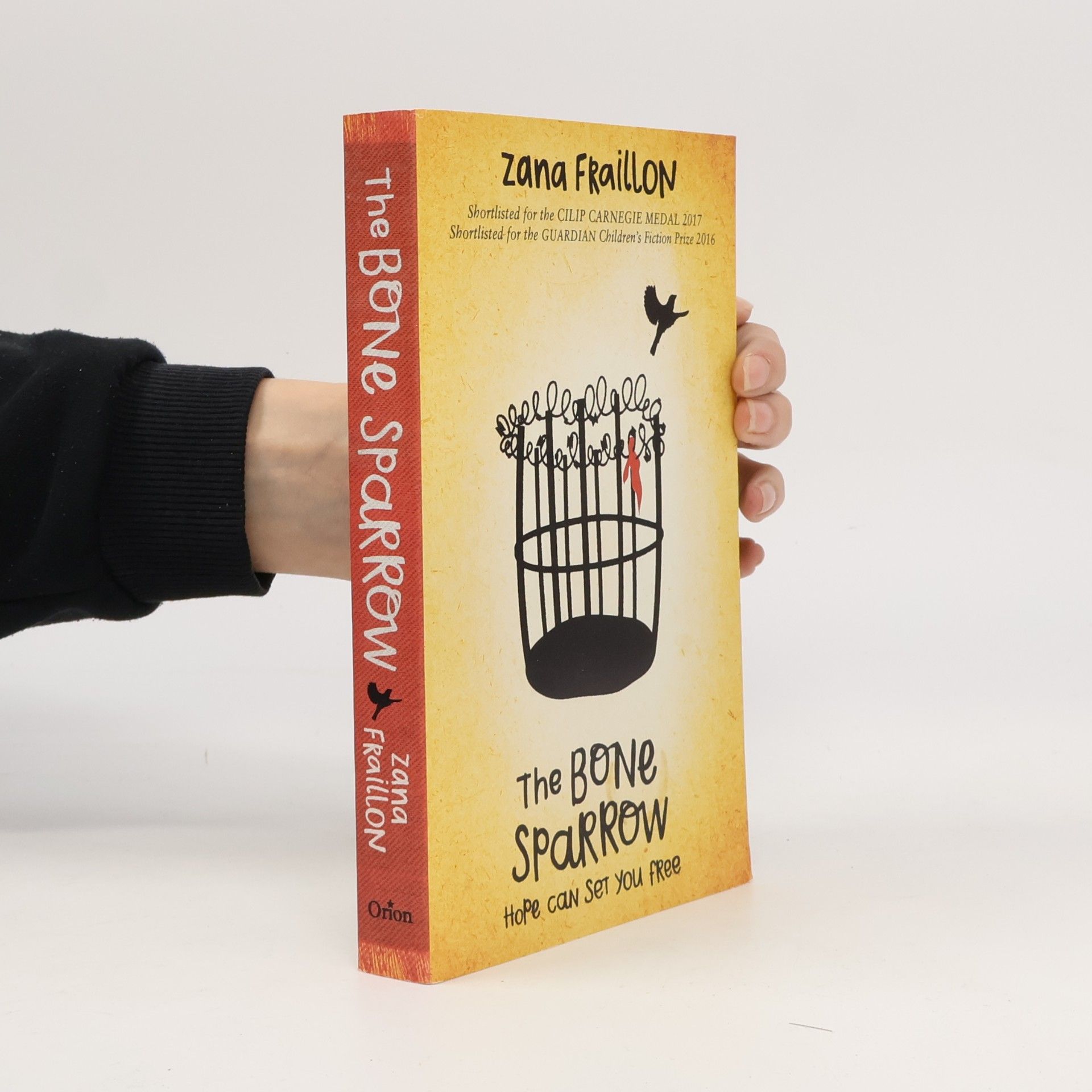 The bone sparrow