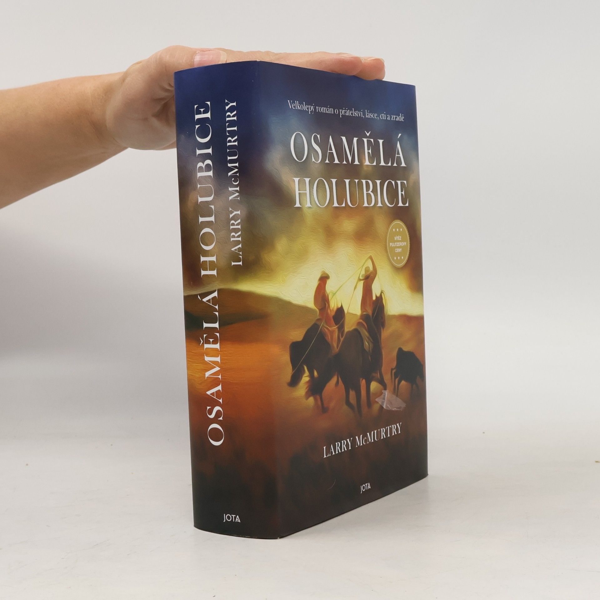 Larry McMurtry Osamělá holubice