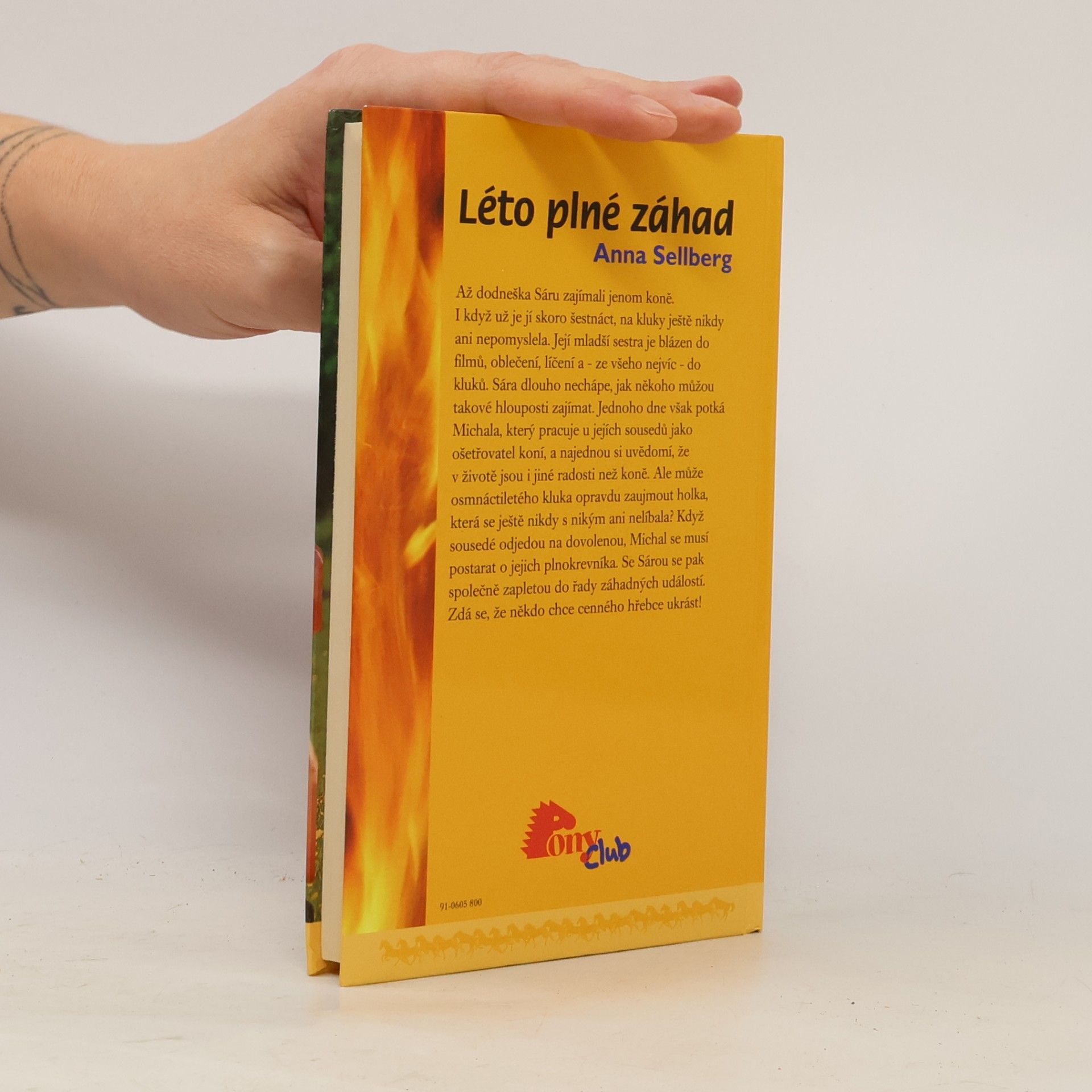 Anna Sellberg Léto plné záhad