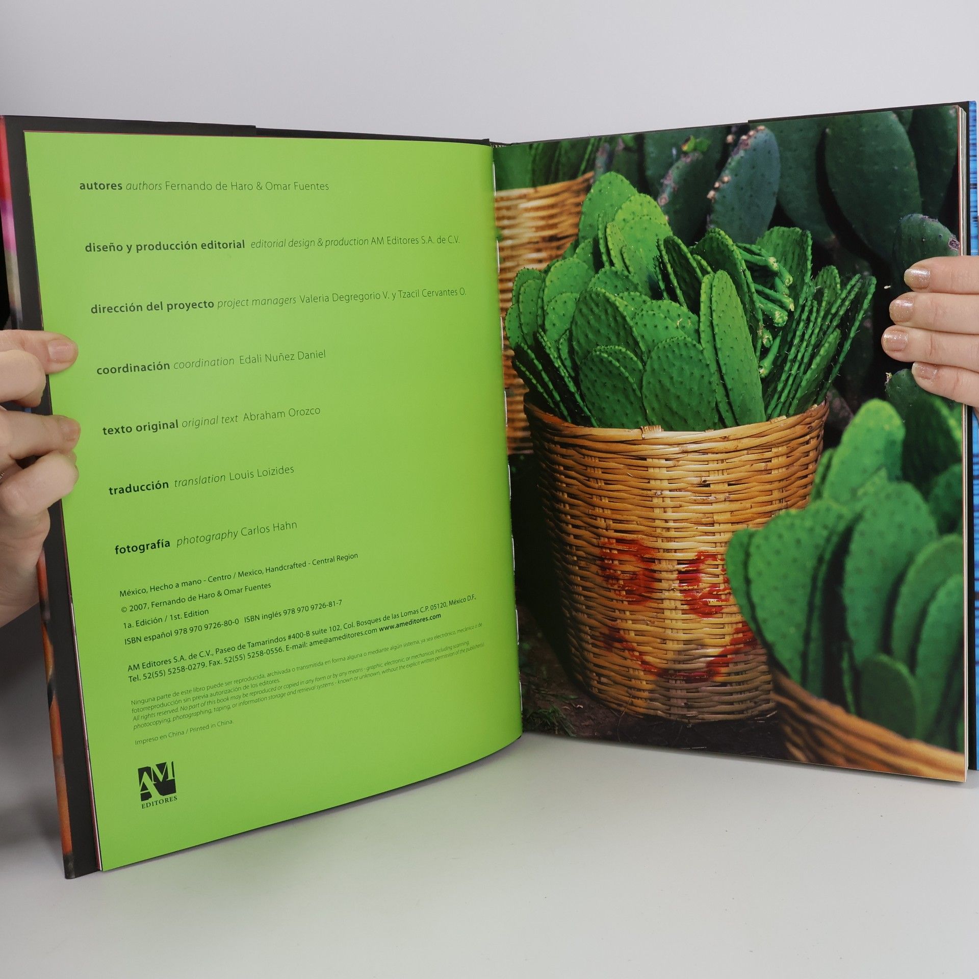 Fernando de Haro Centro México hecho a mano (Spanish Edition)