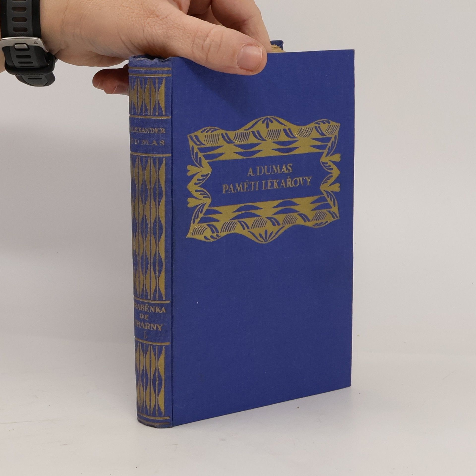 Alexandre Dumas starší Paměti lékařovy XI. Hraběnka de Charny I.