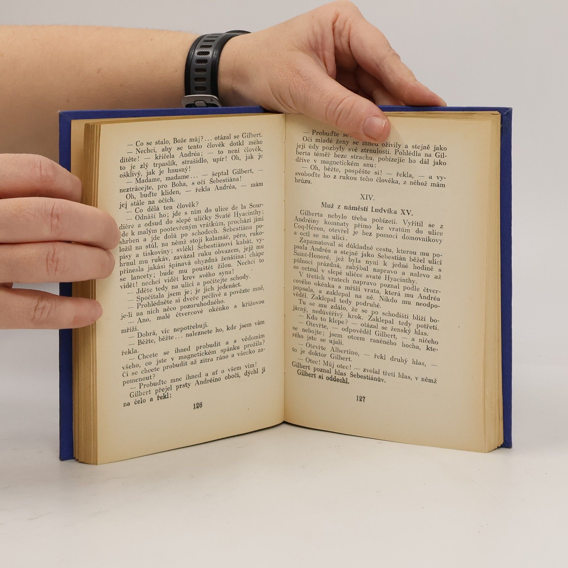 Alexandre Dumas starší Paměti lékařovy XI. Hraběnka de Charny I.