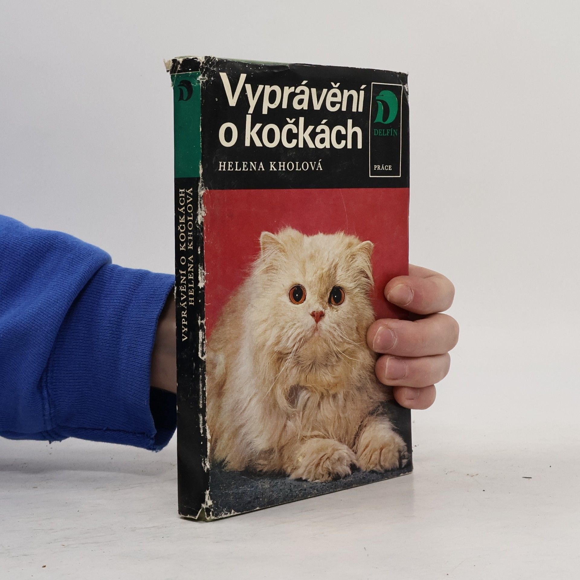 Vyprávění o kočkách