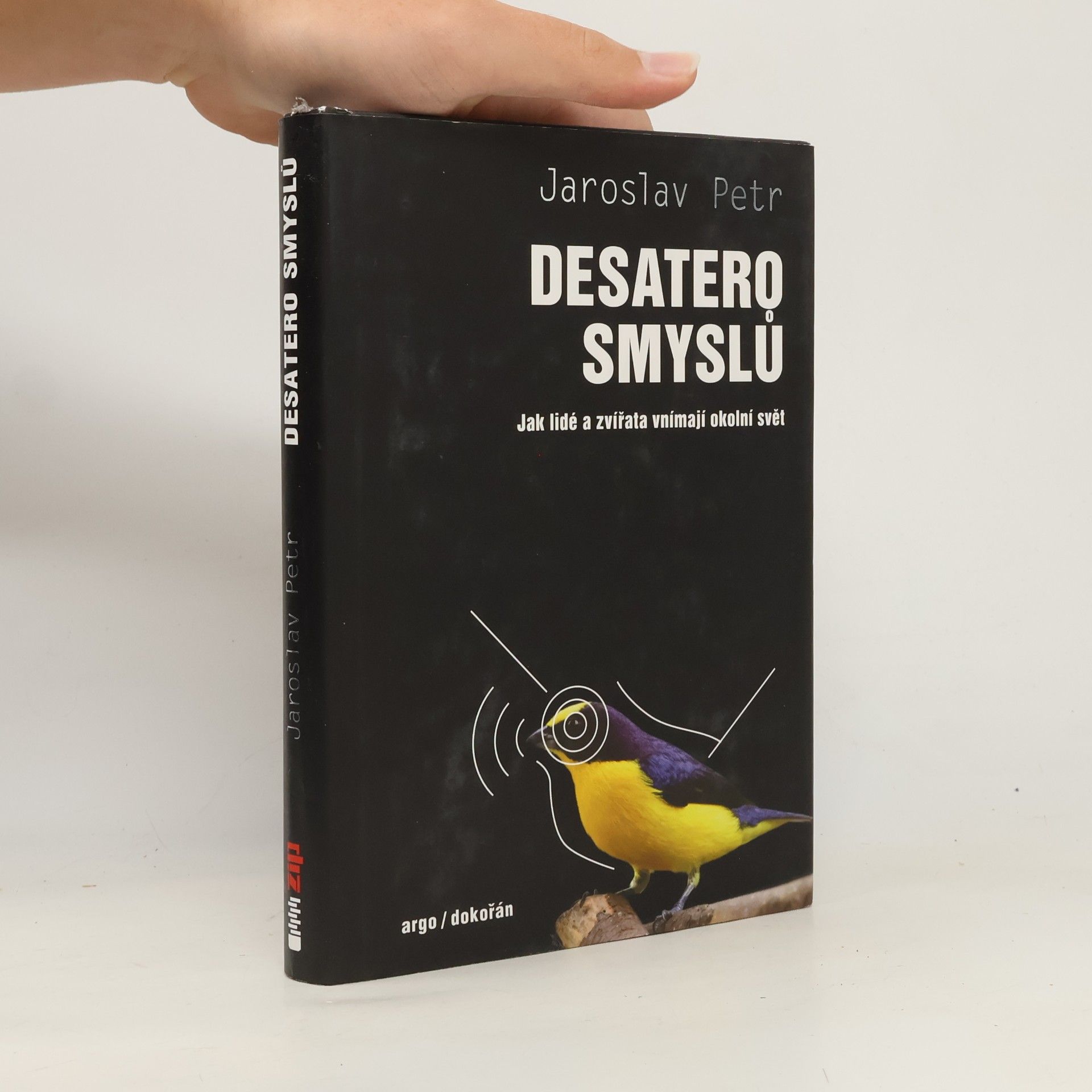 Desatero smyslů