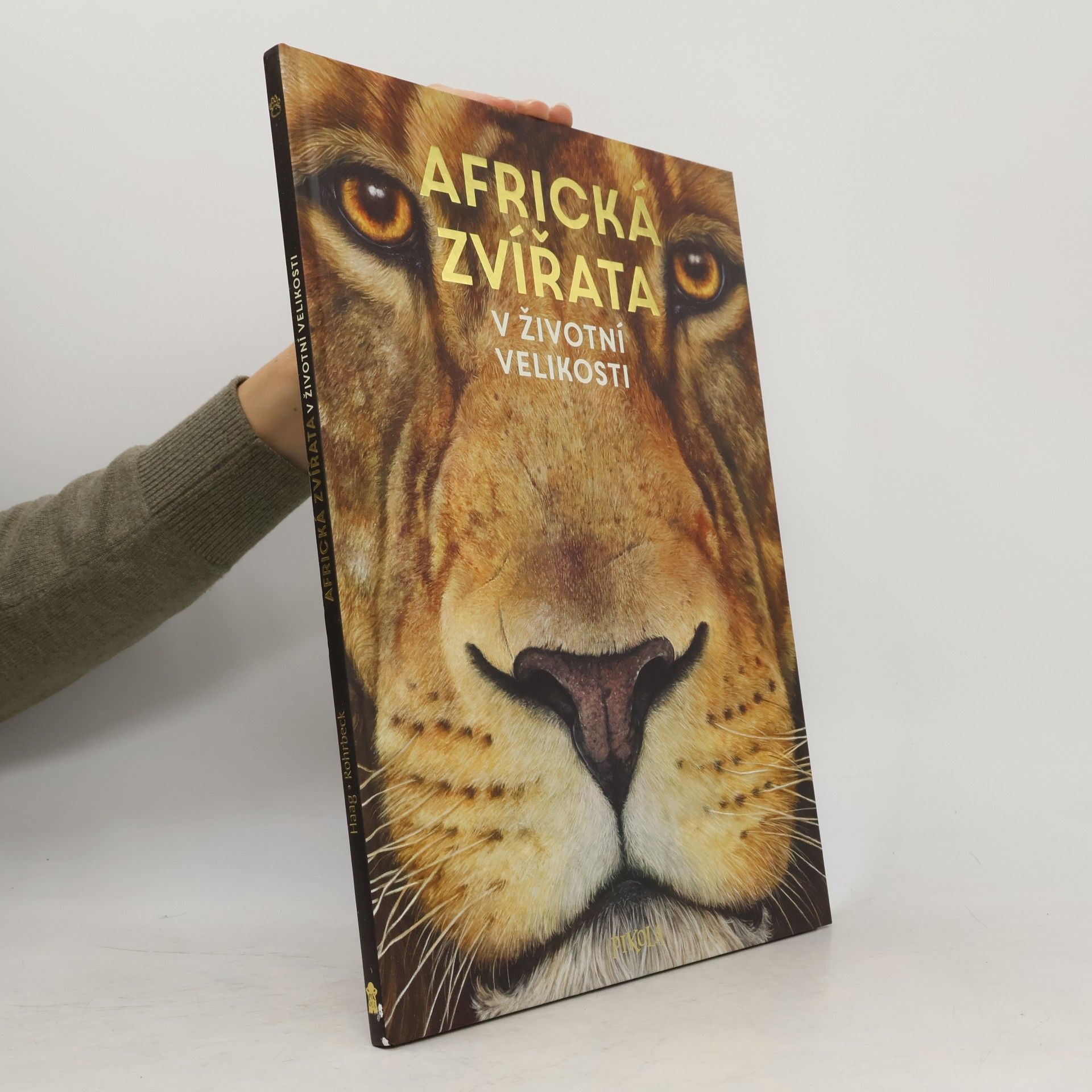 Africká zvířata: V životní velikosti