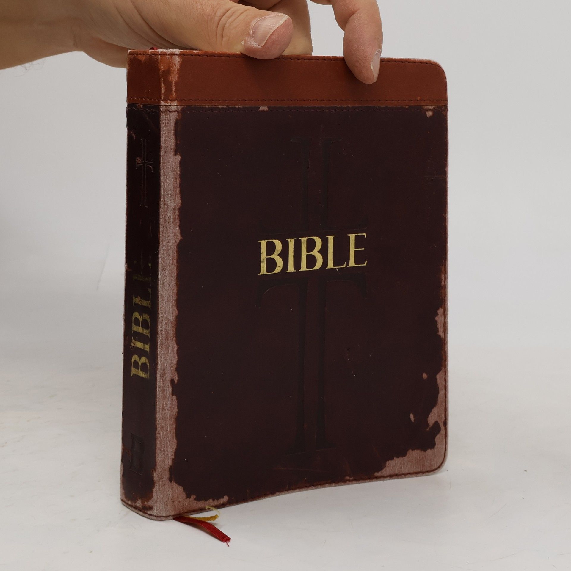 Bible. Písmo svaté Starého a Nového zákona