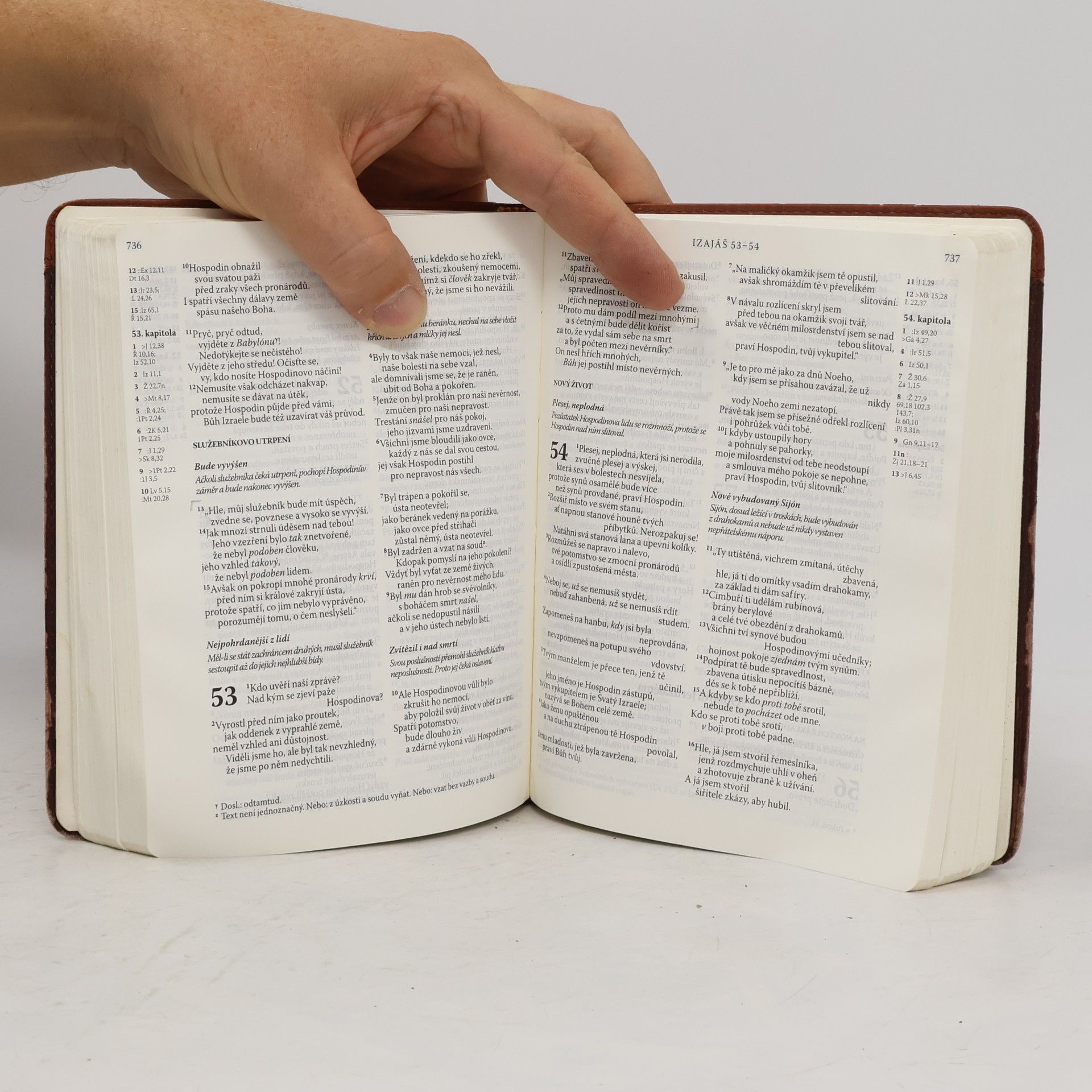 Miloš Bič Bible. Písmo svaté Starého a Nového zákona