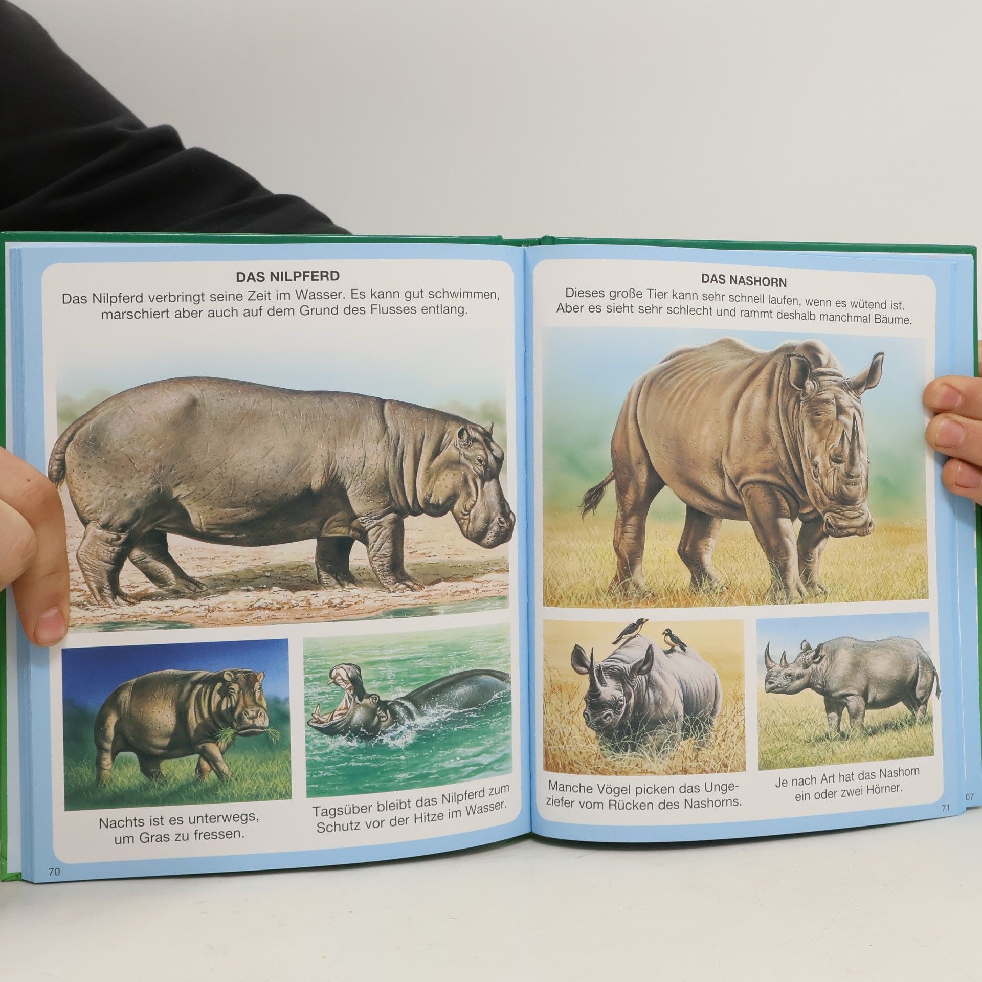 Regina Enderle Tiere