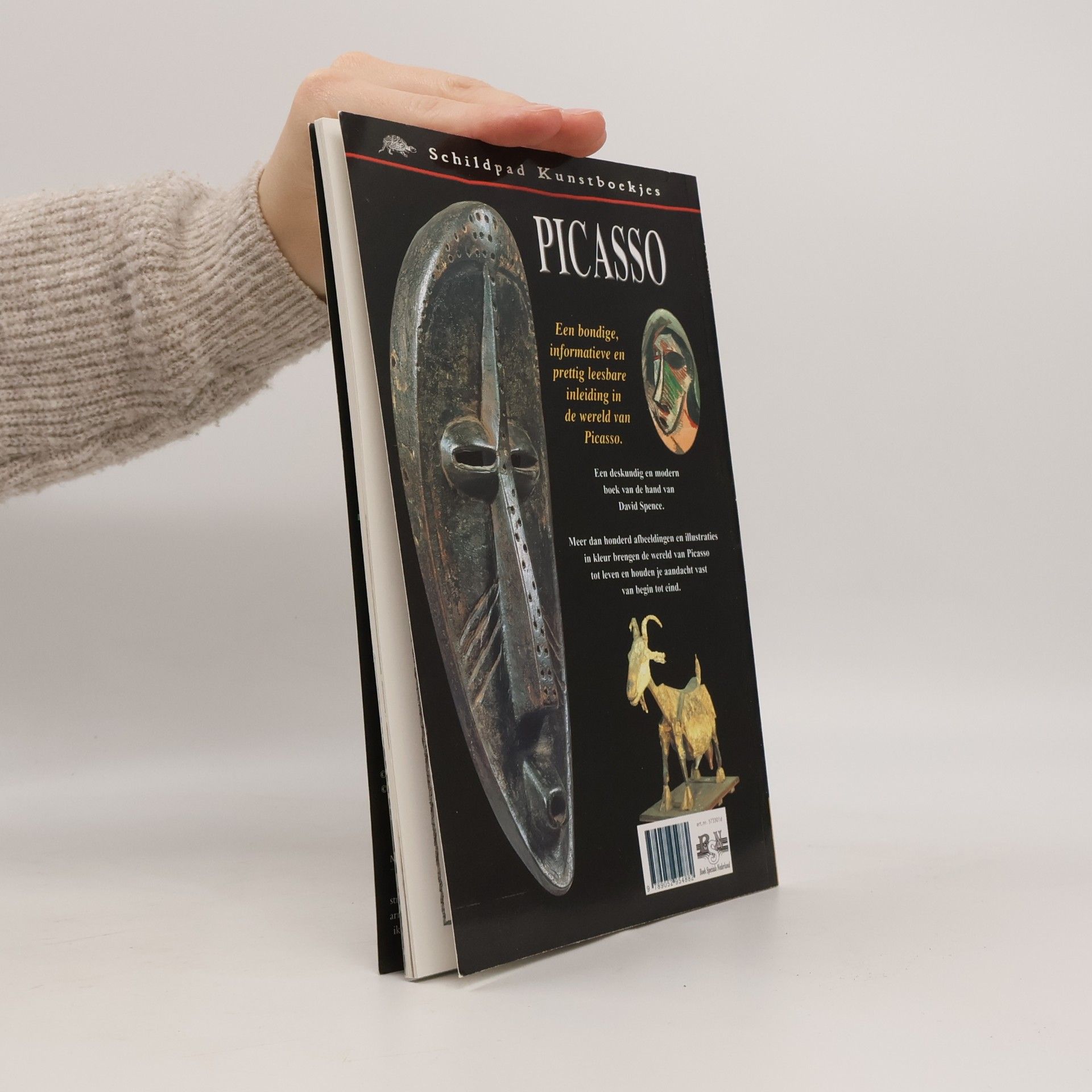 David Spence Schildpad Kunstboekjes. Picasso