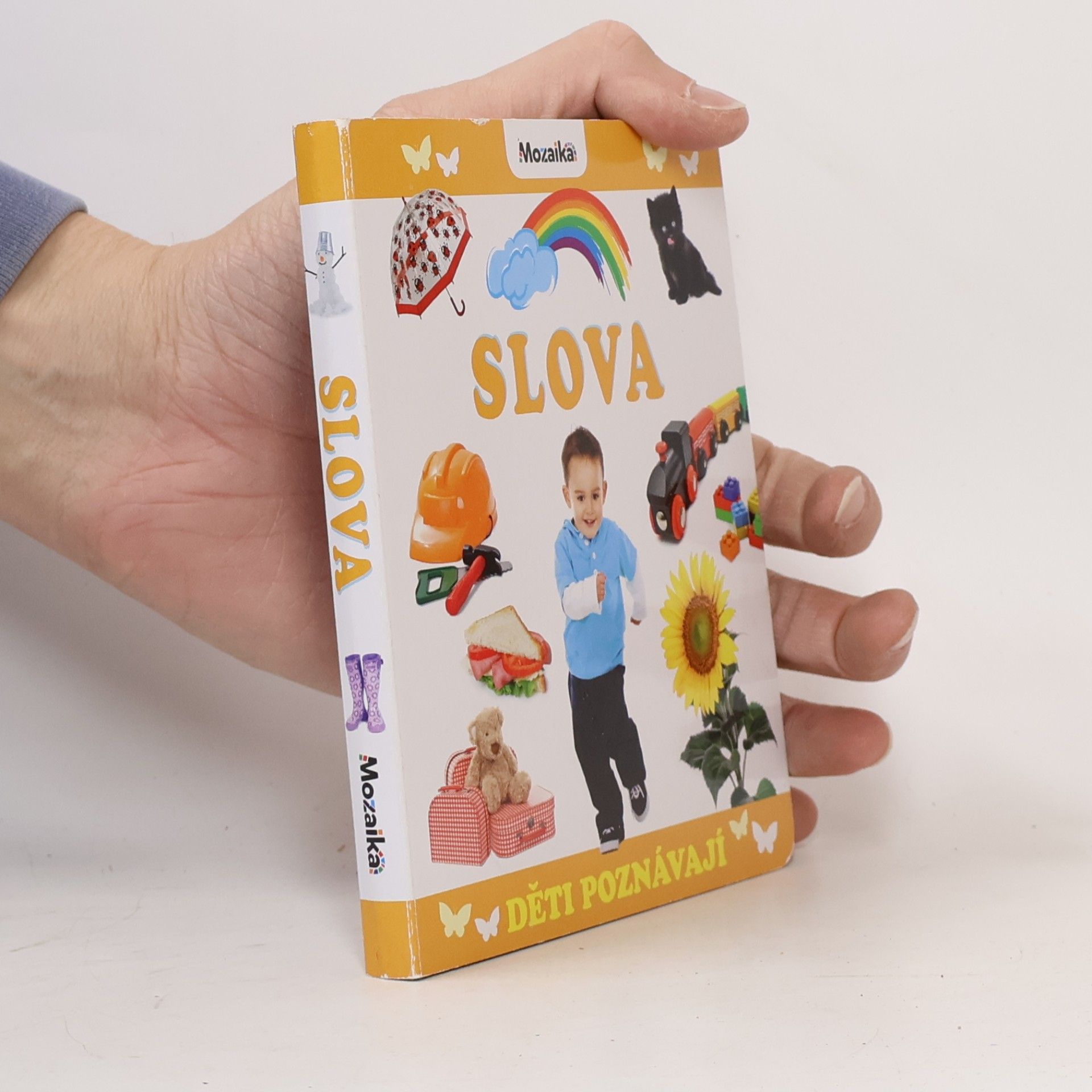 Autorenkollektiv Děti poznávají slova
