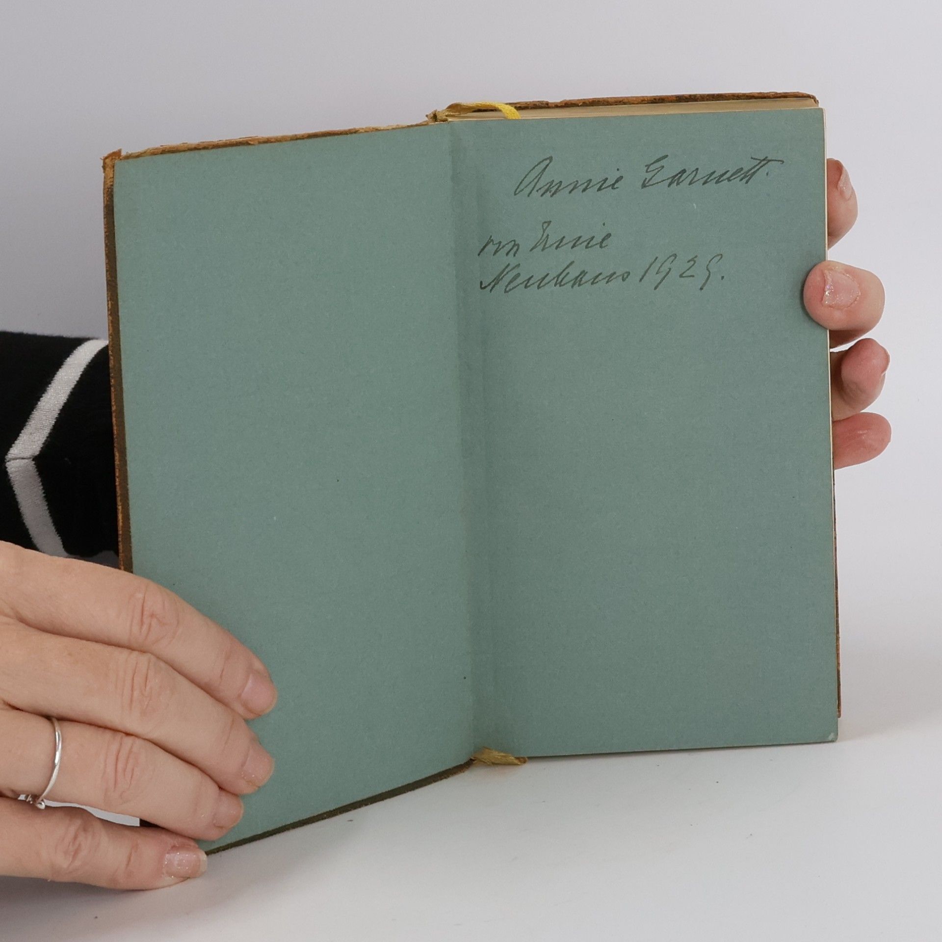 Goethe Briefe und Tagebücher