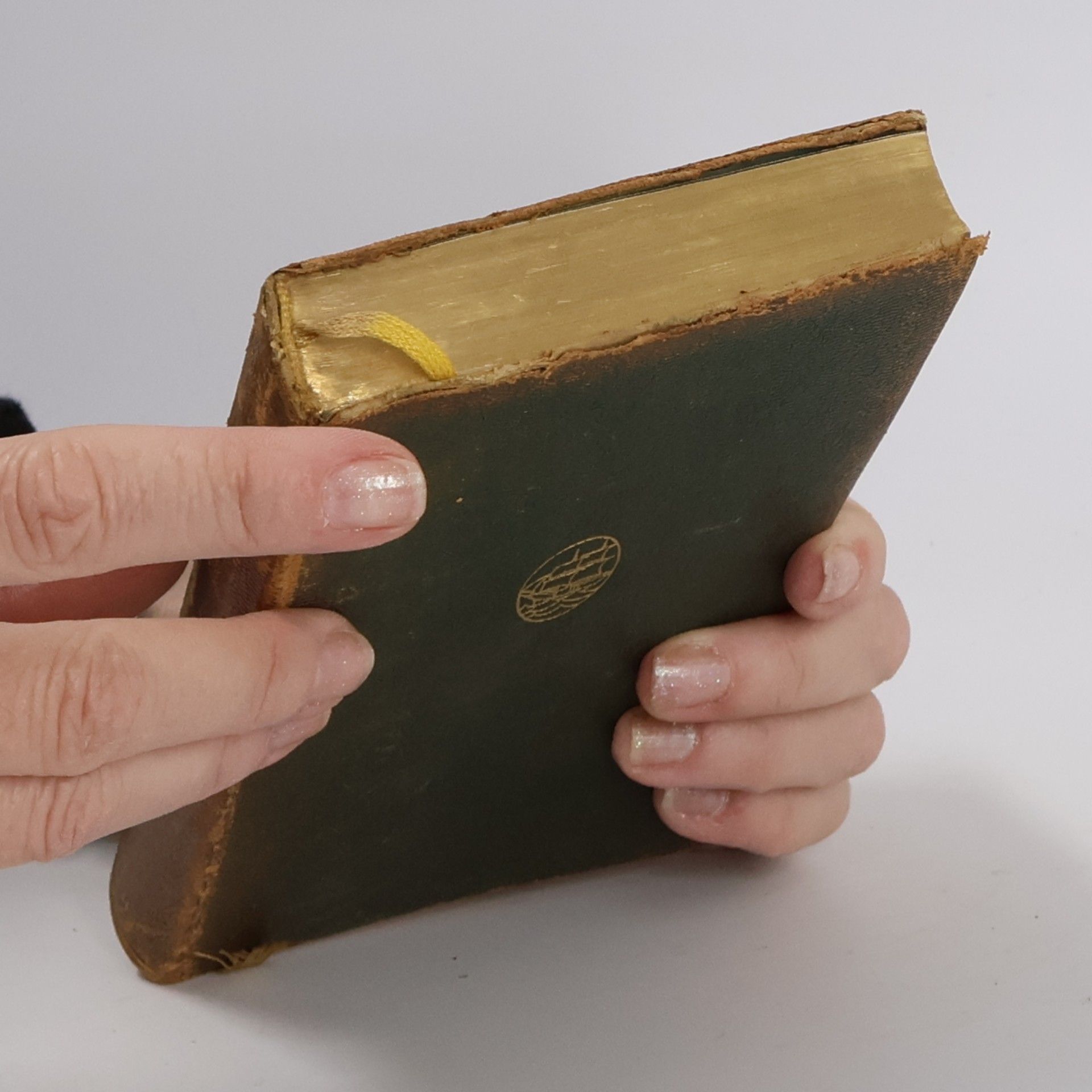 Goethe Briefe und Tagebücher