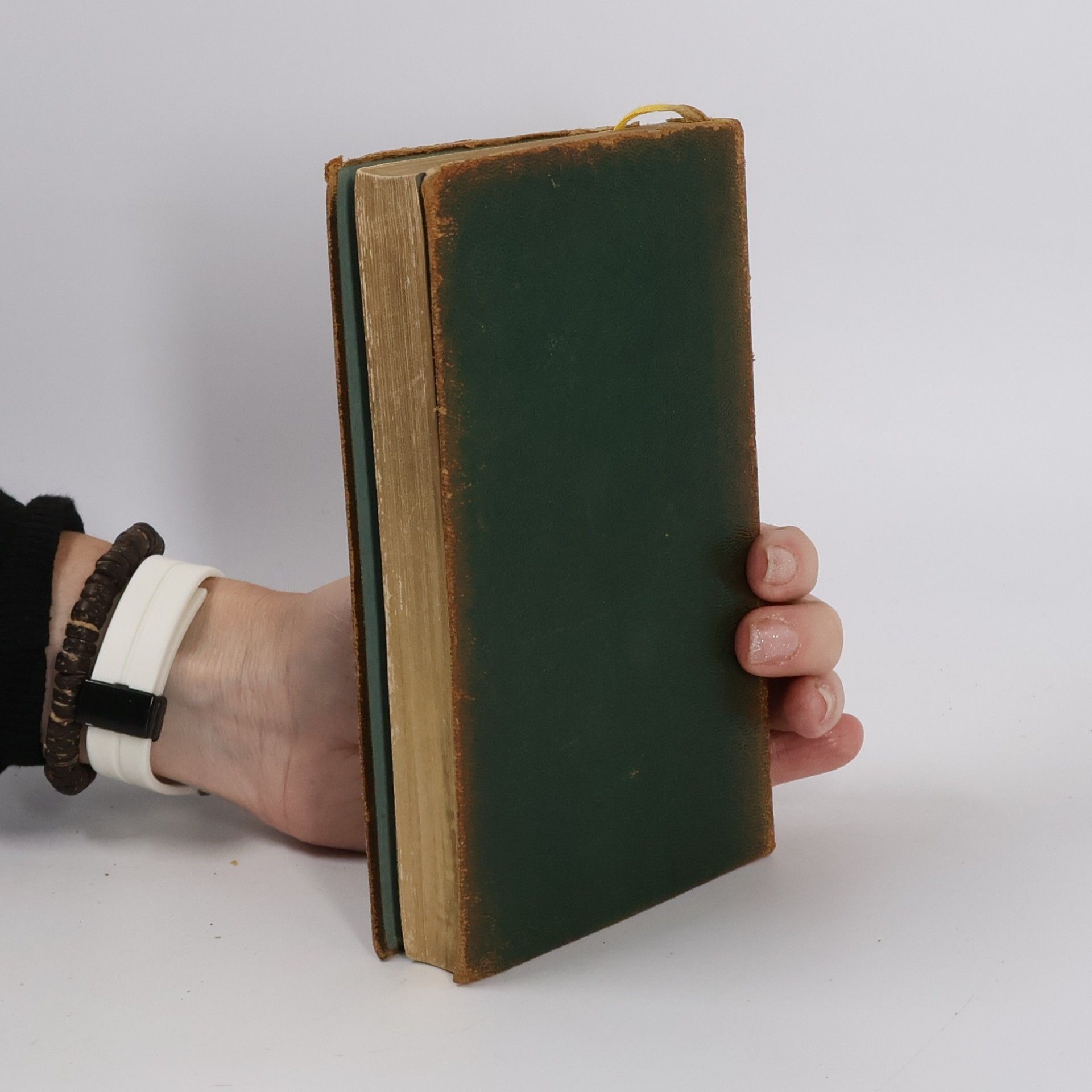 Goethe Briefe und Tagebücher