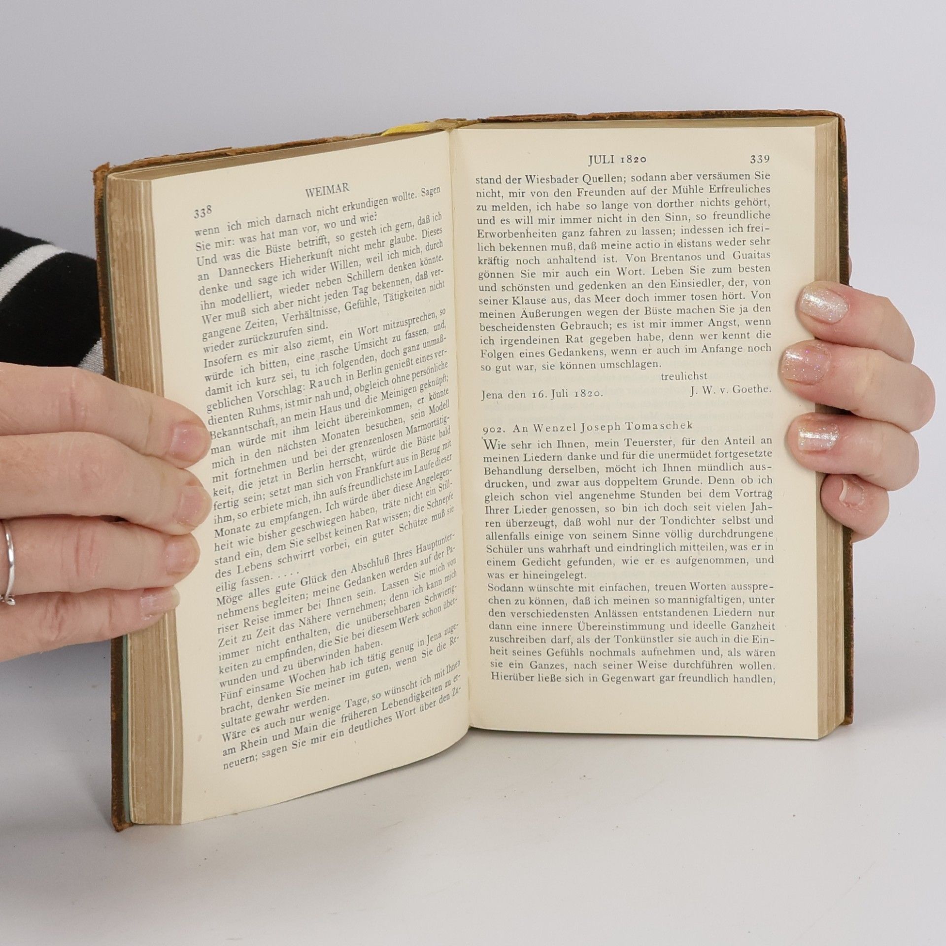 Goethe Briefe und Tagebücher