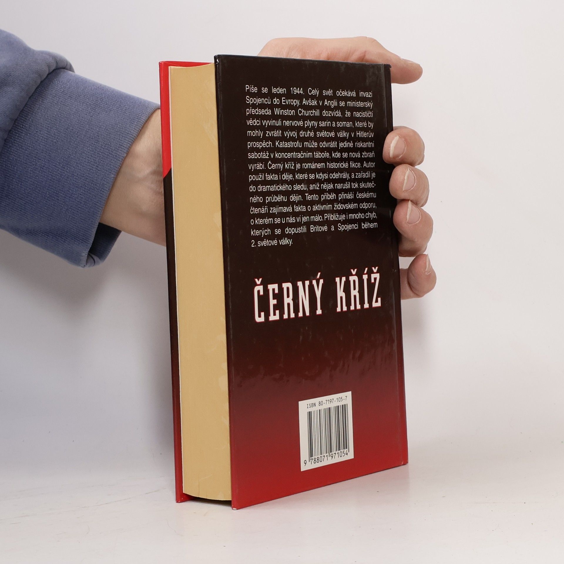 Greg Iles Černý kříž