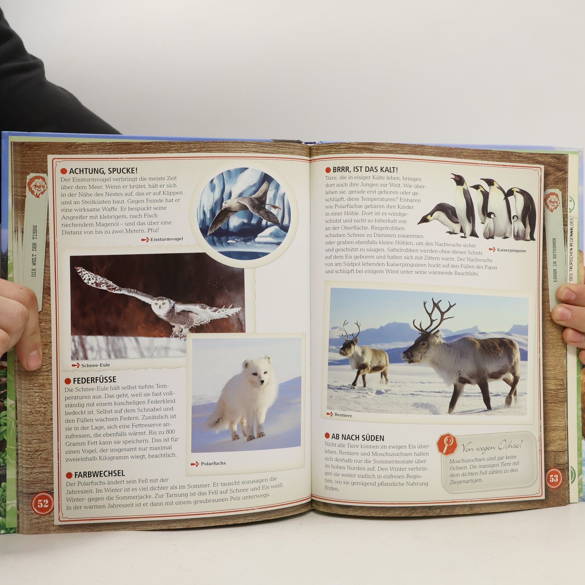Various authors Faszinierende Tierwelt