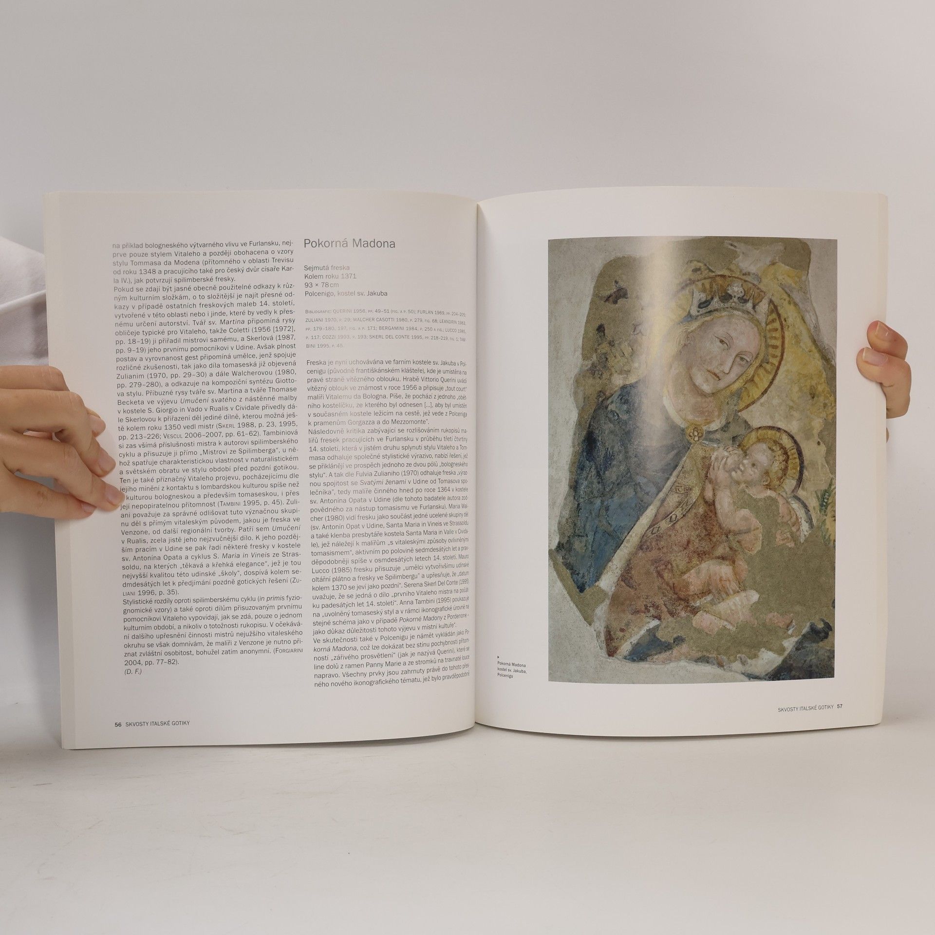 Various authors Gotika severní Itálie. České země a Furlansko ve středověku