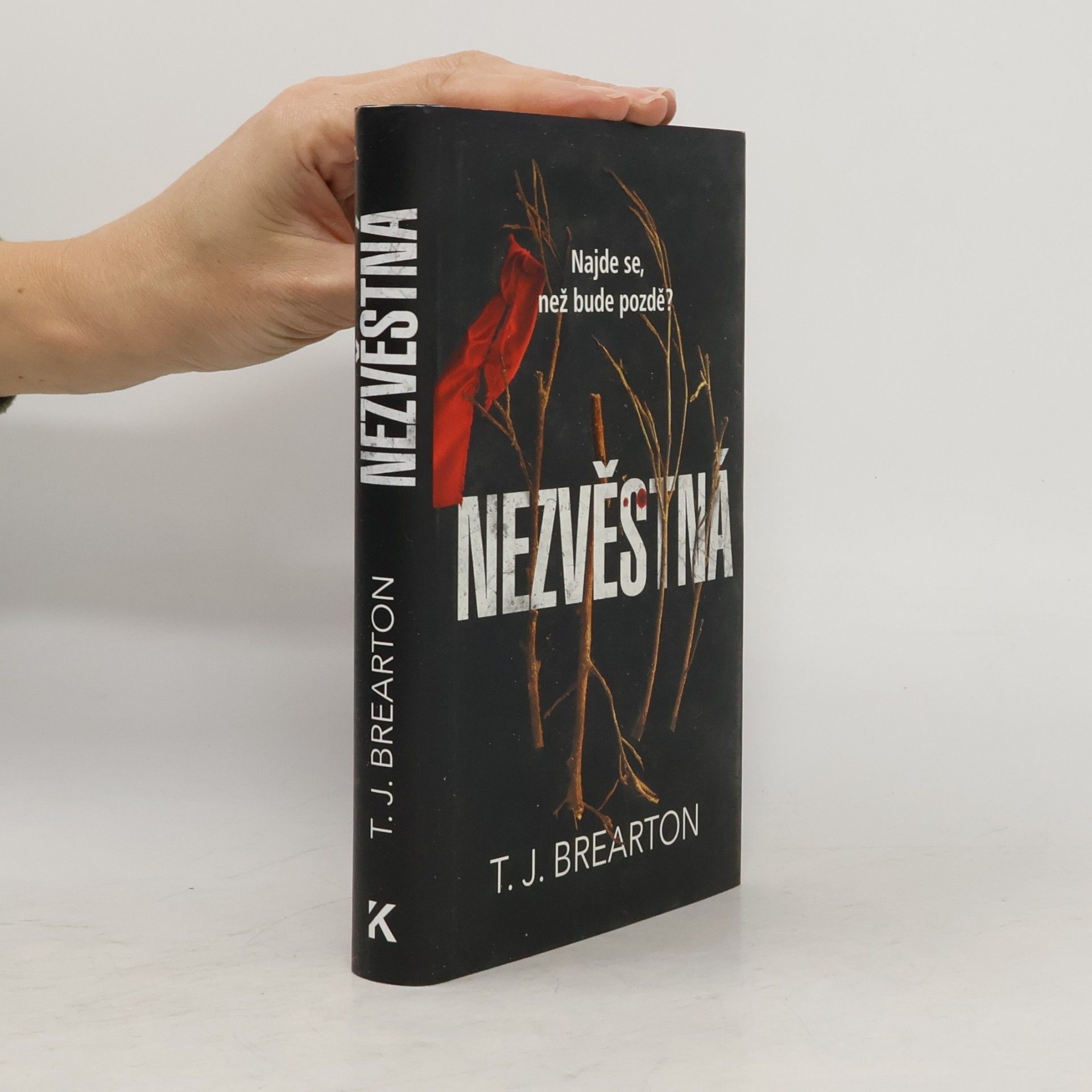 T. J. Brearton Nezvěstná