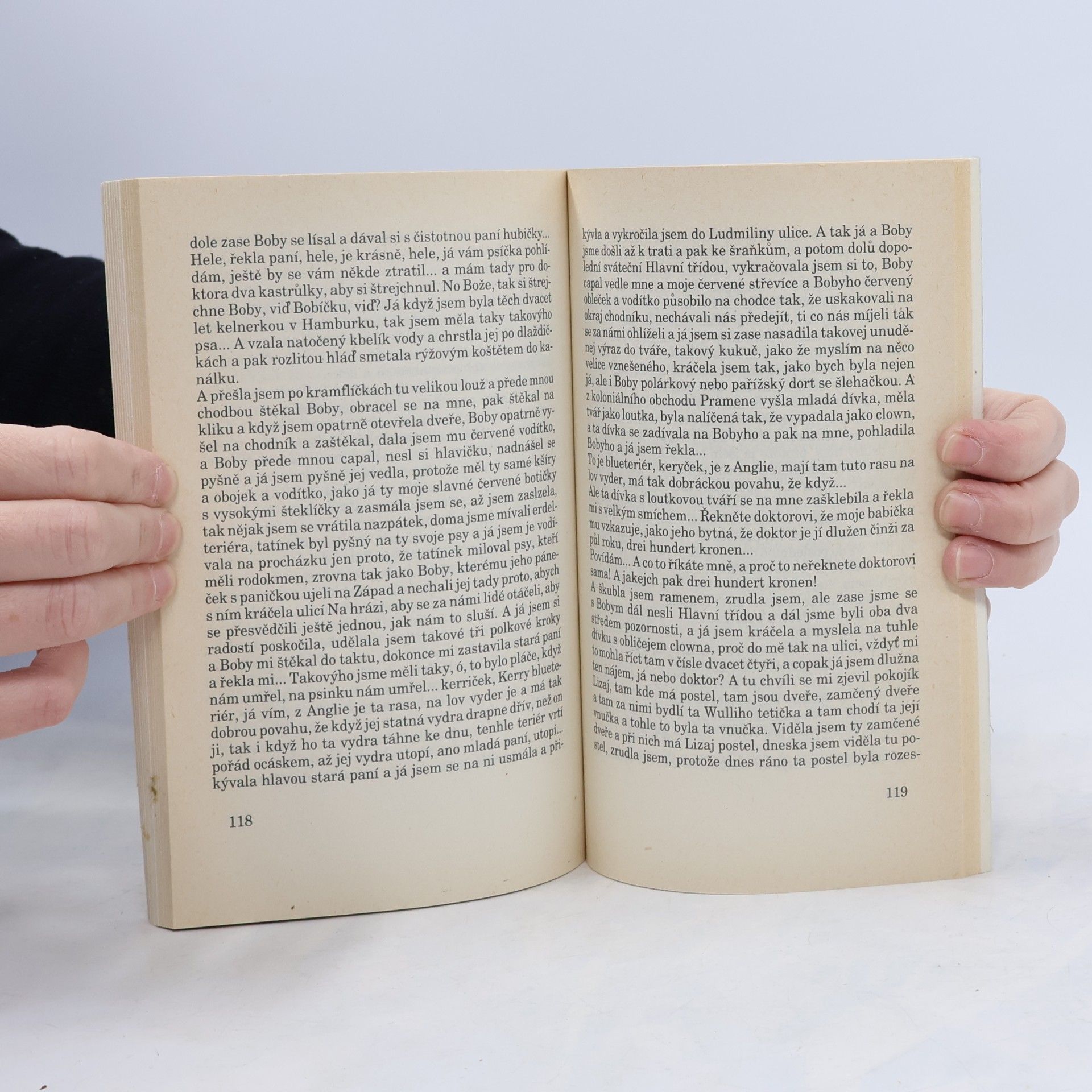 Bohumil Hrabal Svatby v domě. Dívčí románek. 1. díl trilogie