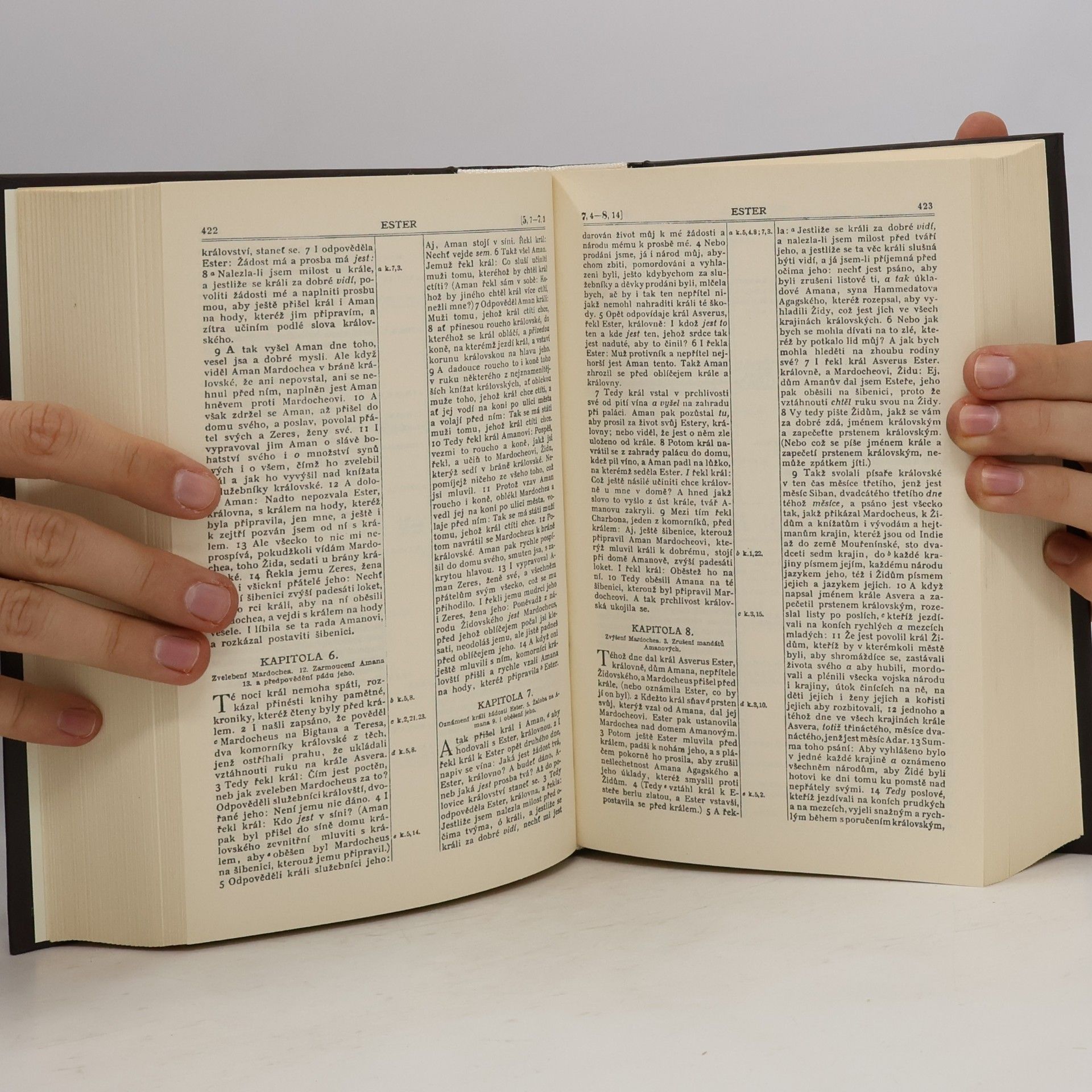 AA.VV. Bible svatá aneb všecka svatá písma Starého i Nového zákona