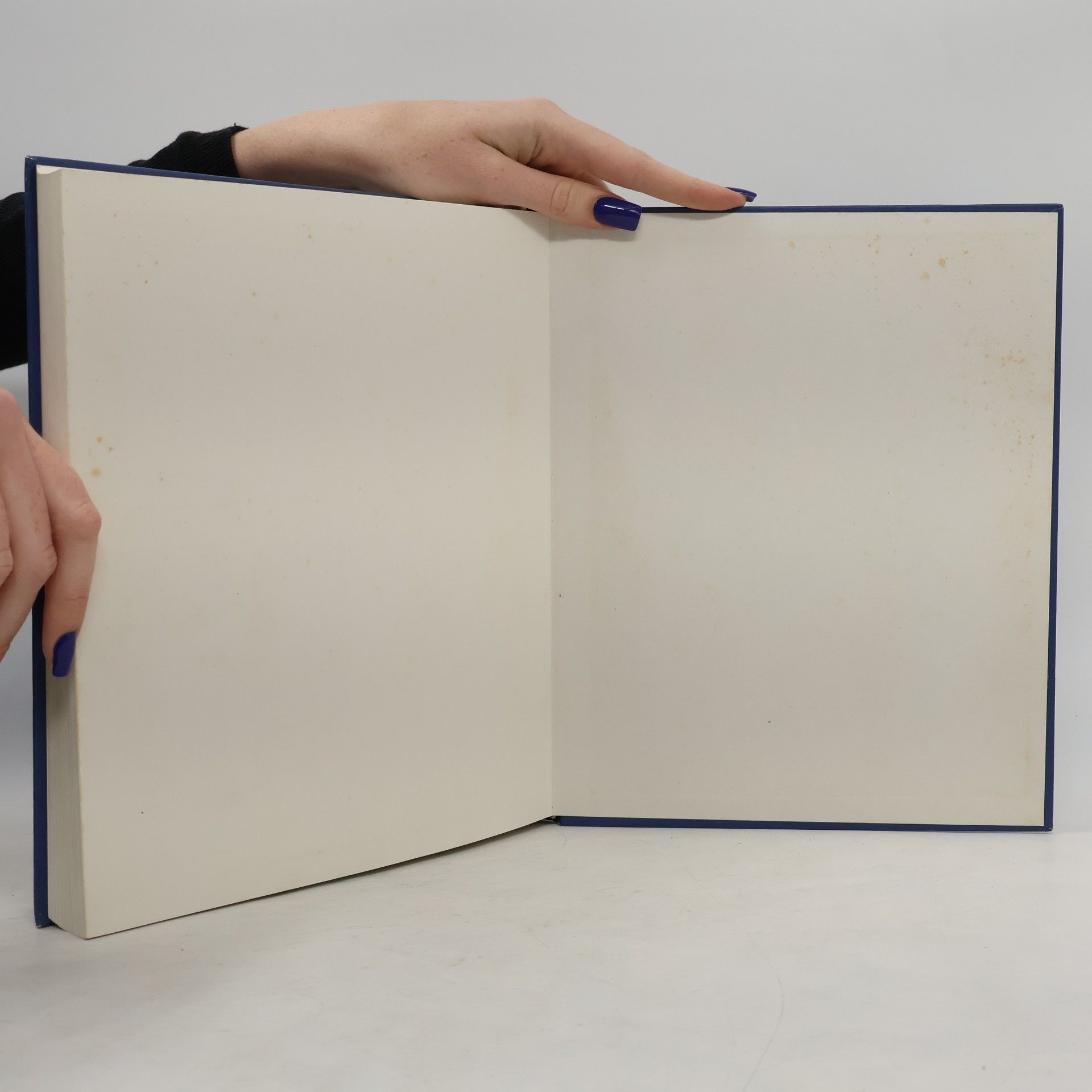 Autorenkollektiv Ein rheinischer Silberschatz