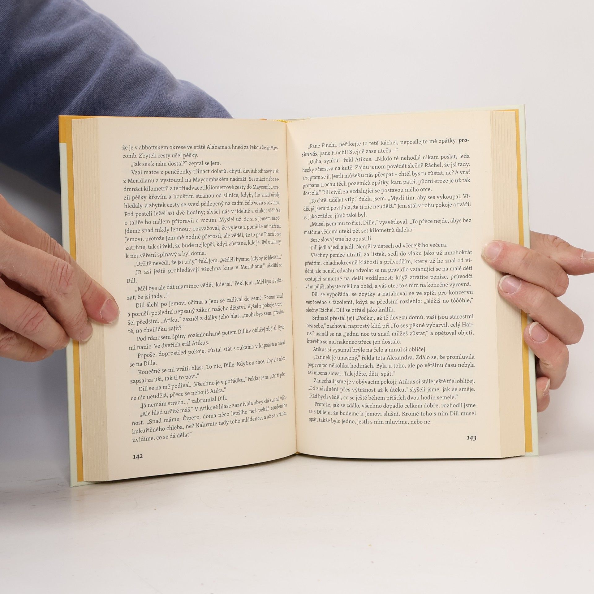 Harper Lee Jako zabít ptáčka