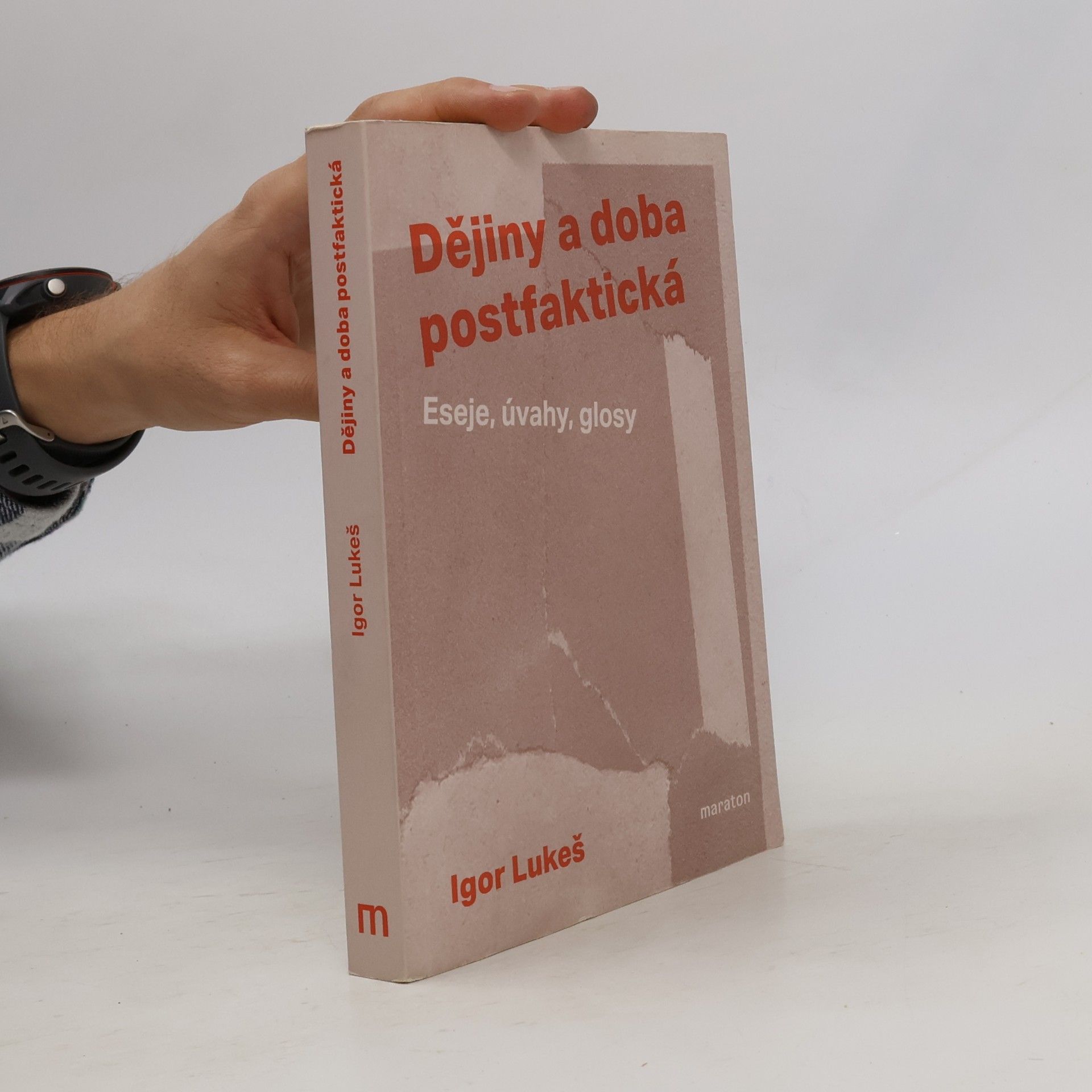 Dějiny a doba postfaktická : eseje, úvahy, glosy
