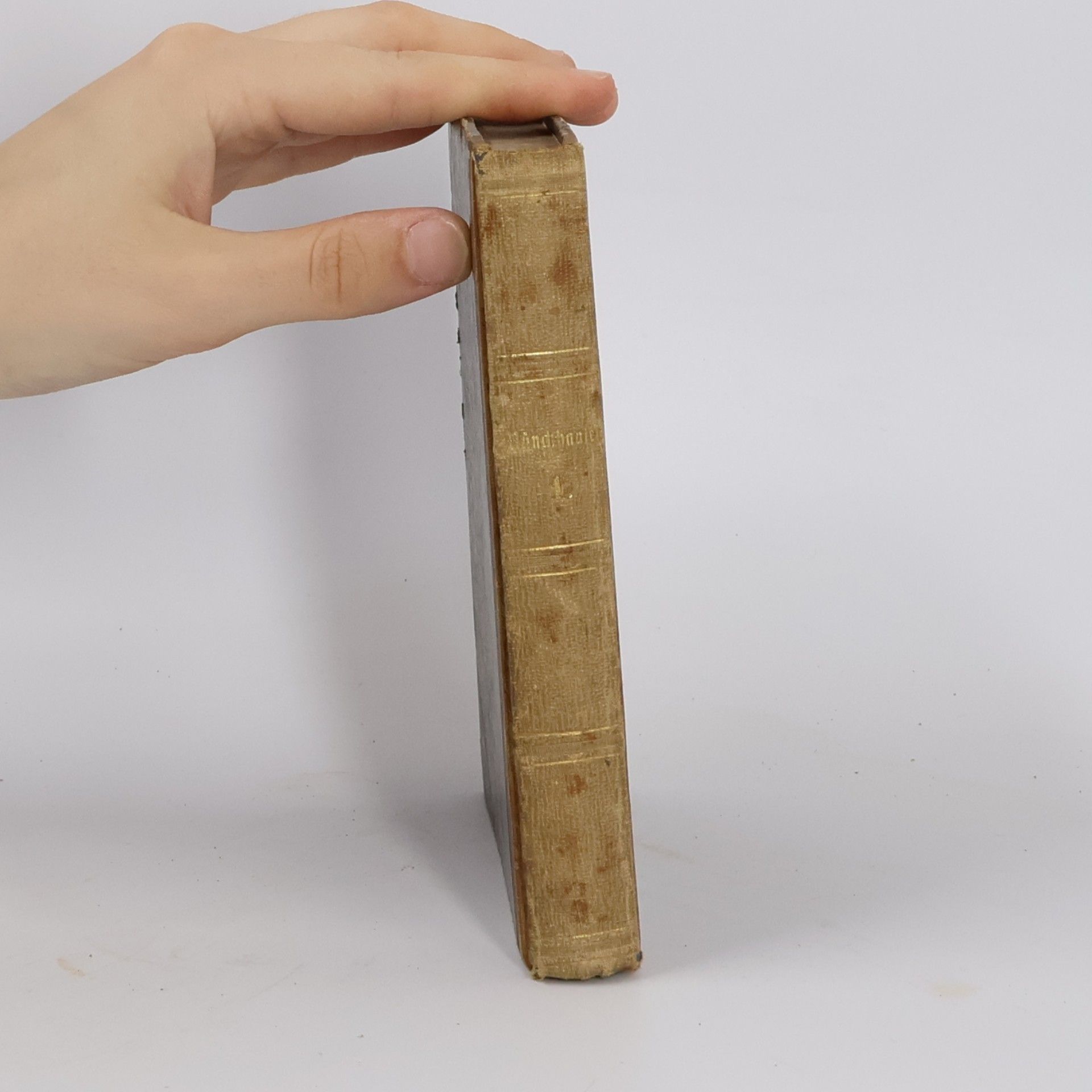 Karl Immermann Münchhausen. Eine Geschichte in Arabesken. Erster Theil.