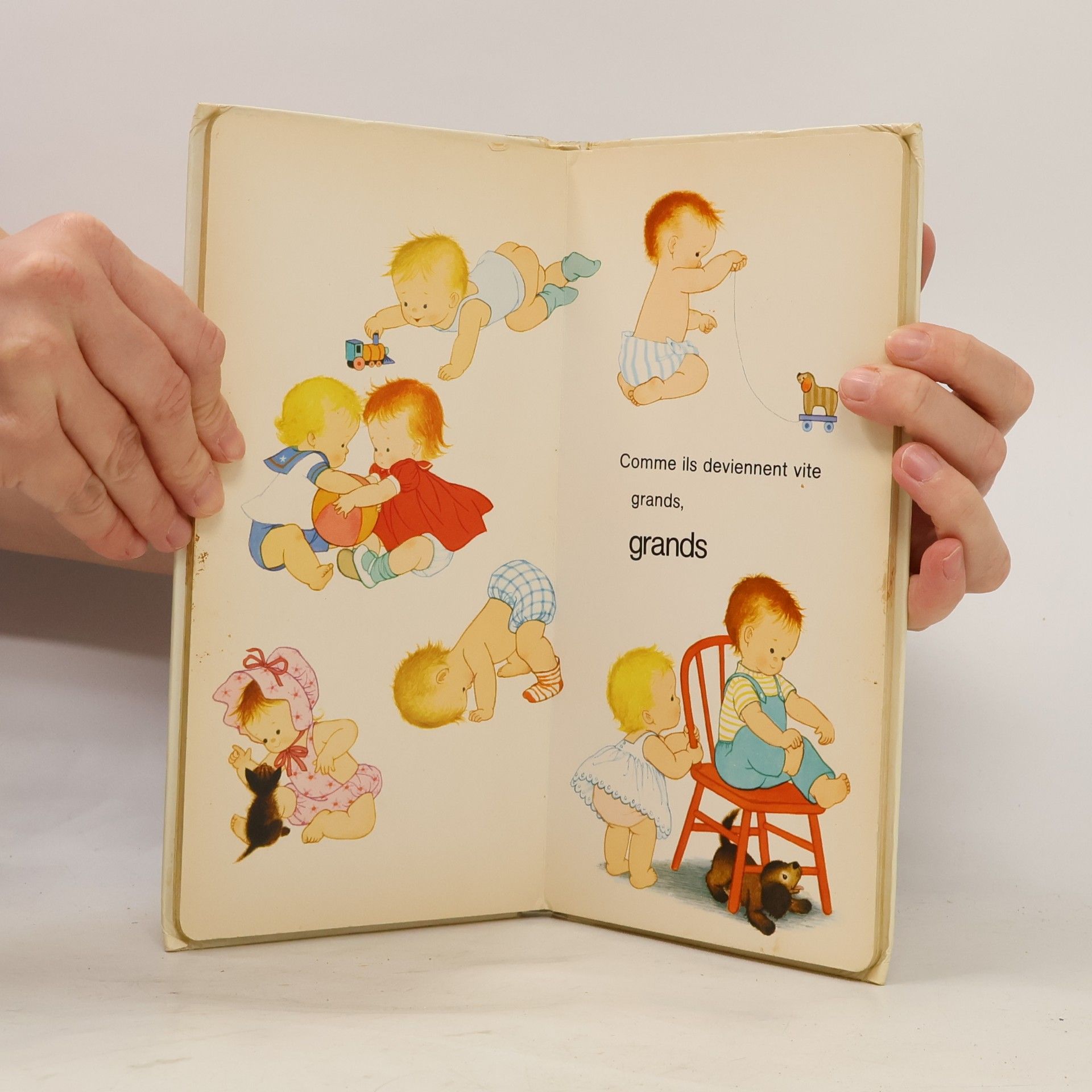 Gyo Fujikawa Le Premier livre de bébé