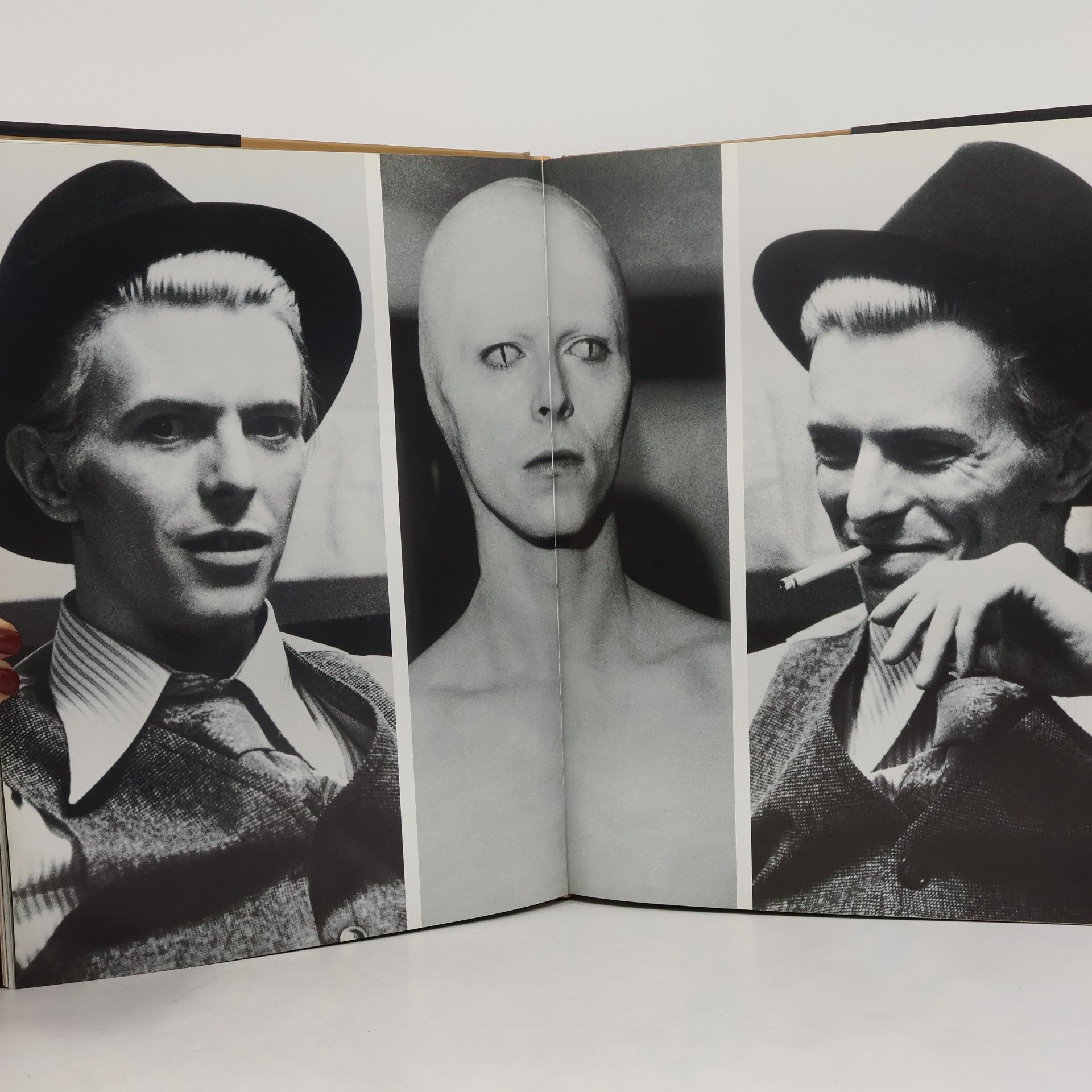 Jim Peterson Playboy : 50 years : <the >photographs