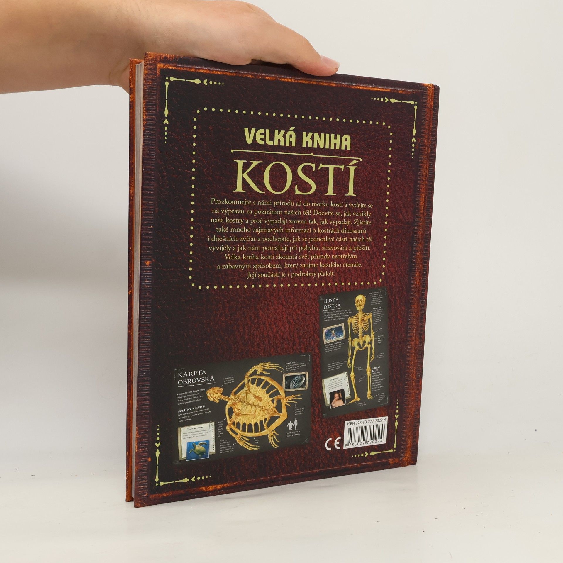 Petr Kotouš Velká kniha kostí