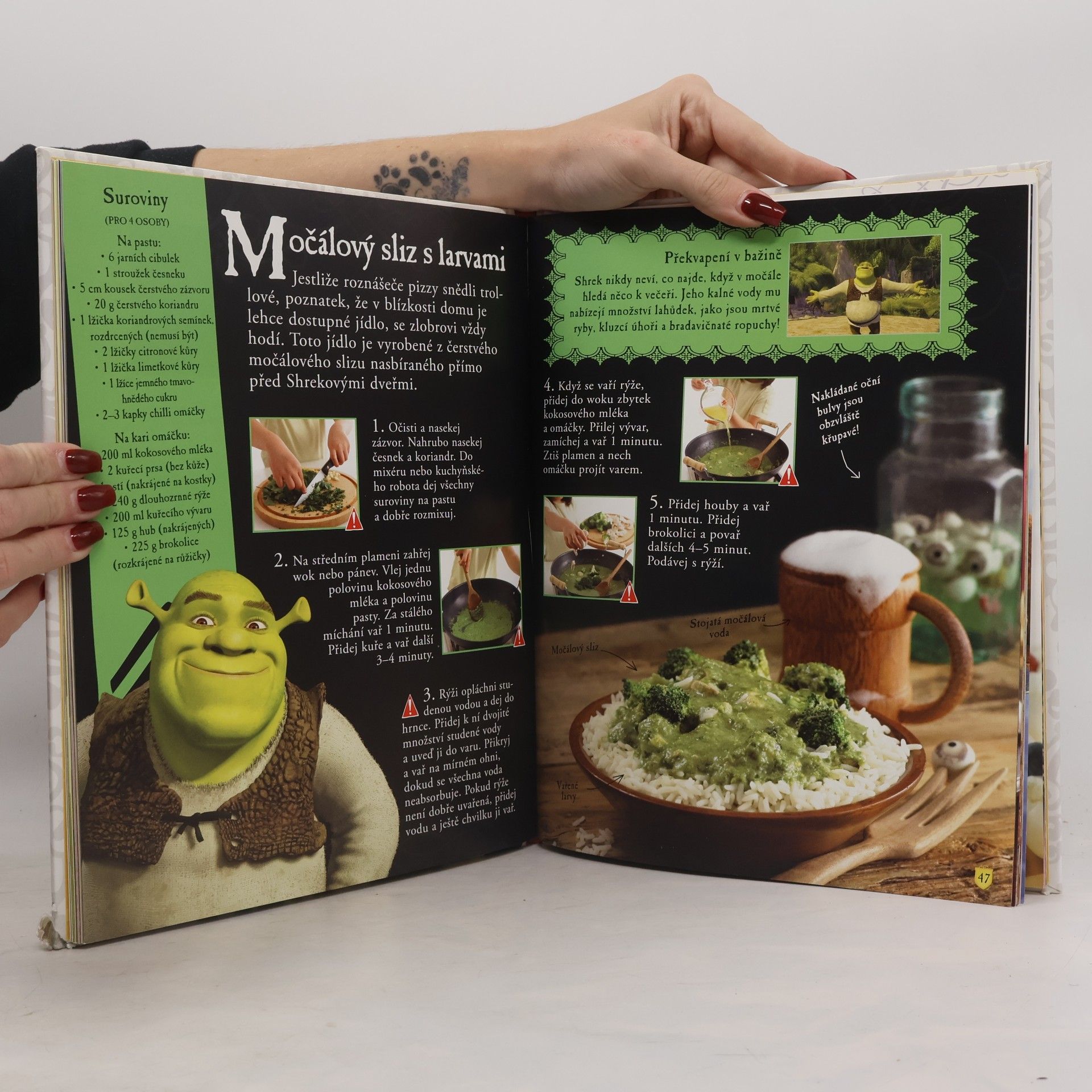Autorenkollektiv Shrek - kuchařka