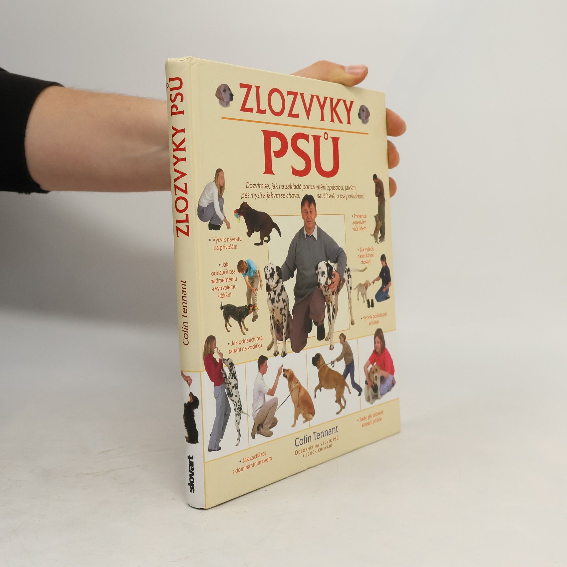 Zlozvyky psů