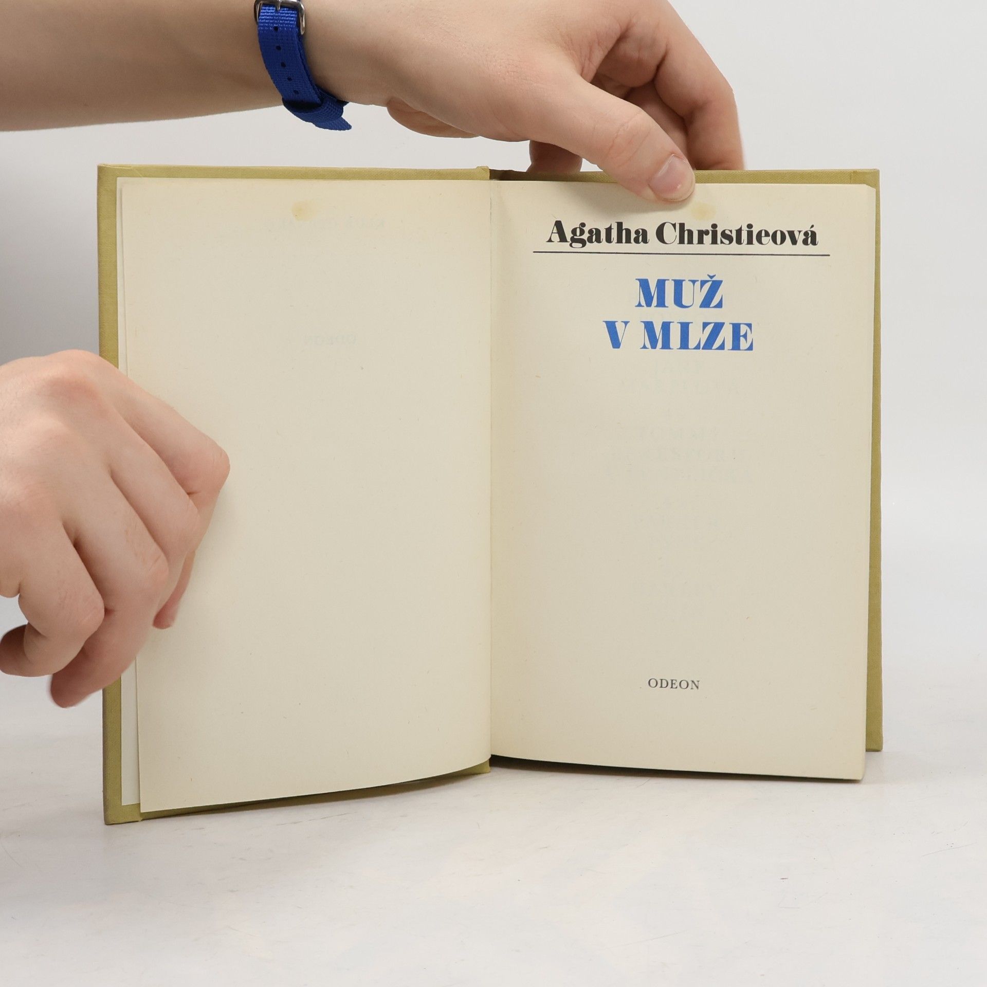 Agatha Christieová Muž v mlze