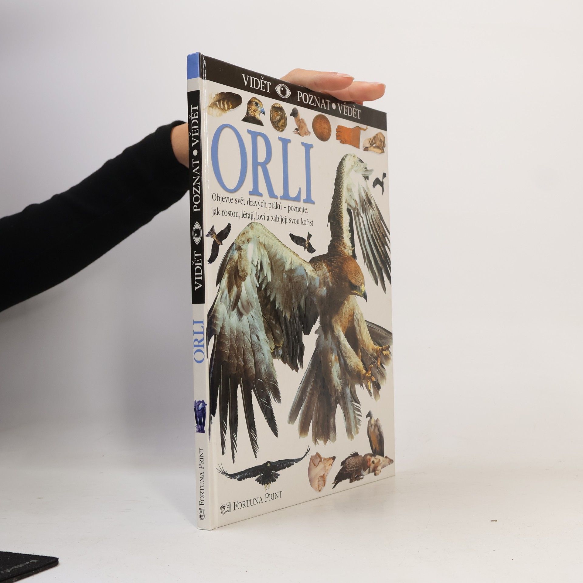 Orli