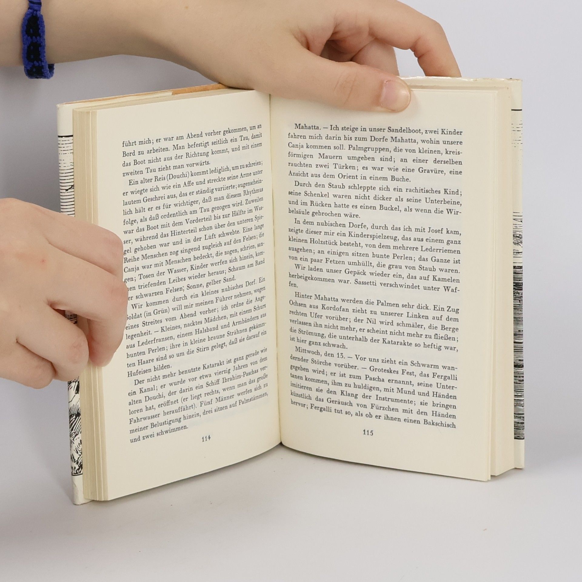 Gustave Flaubert Reisetagebuch aus Ägypten